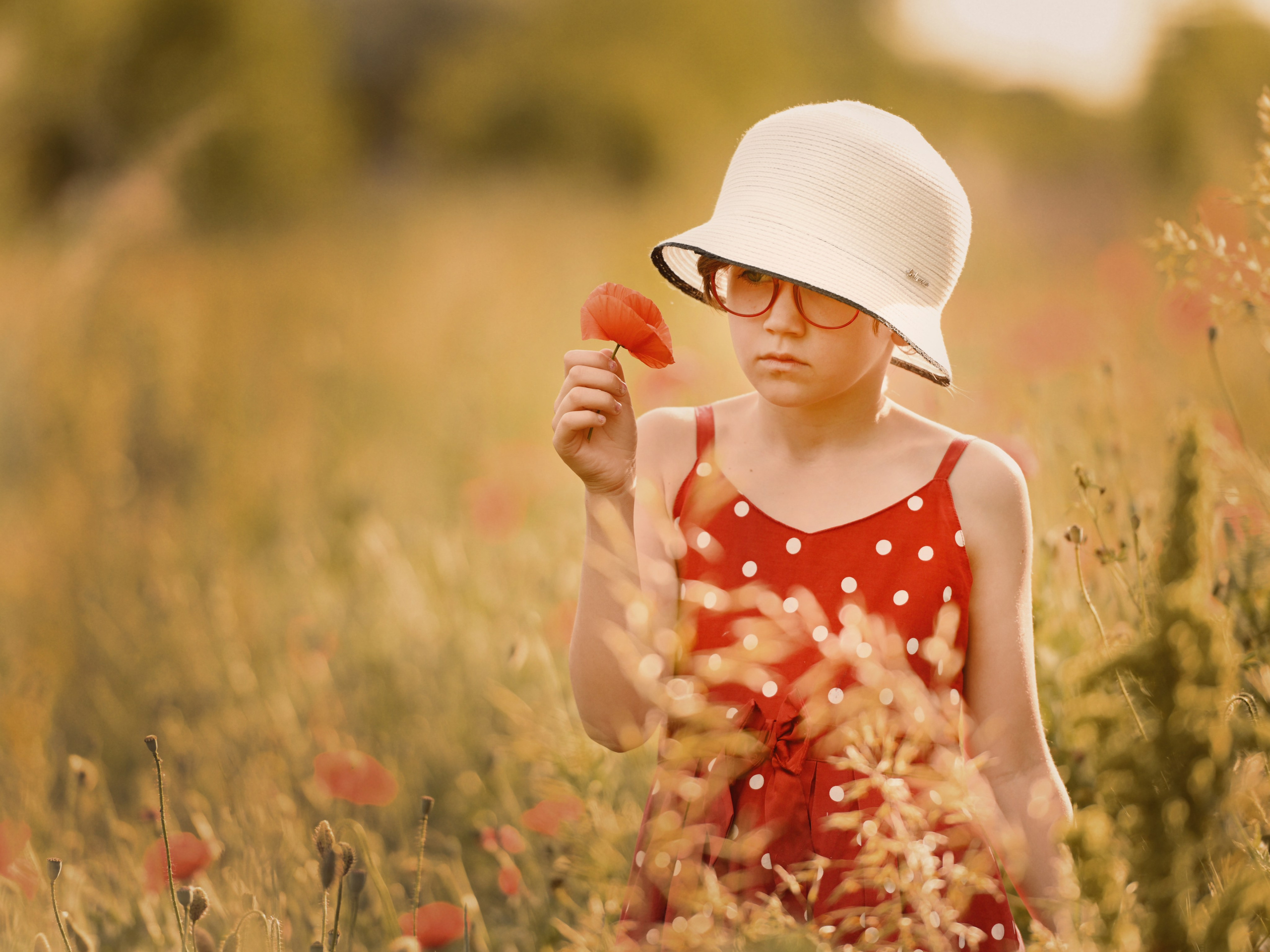 Маковая нежность. Фотограф Натали Кошевая _ Днепр, Подгородное