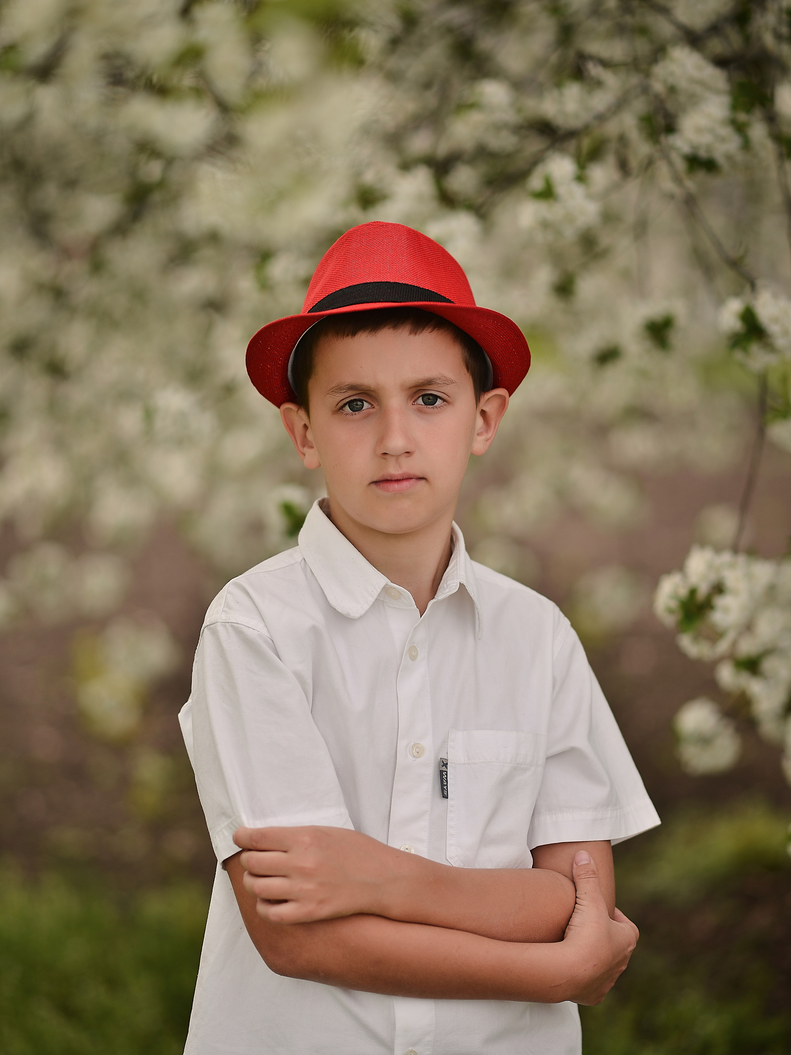 Тюльпанная история. Фотограф Натали Кошевая _ Днепр, Подгородное