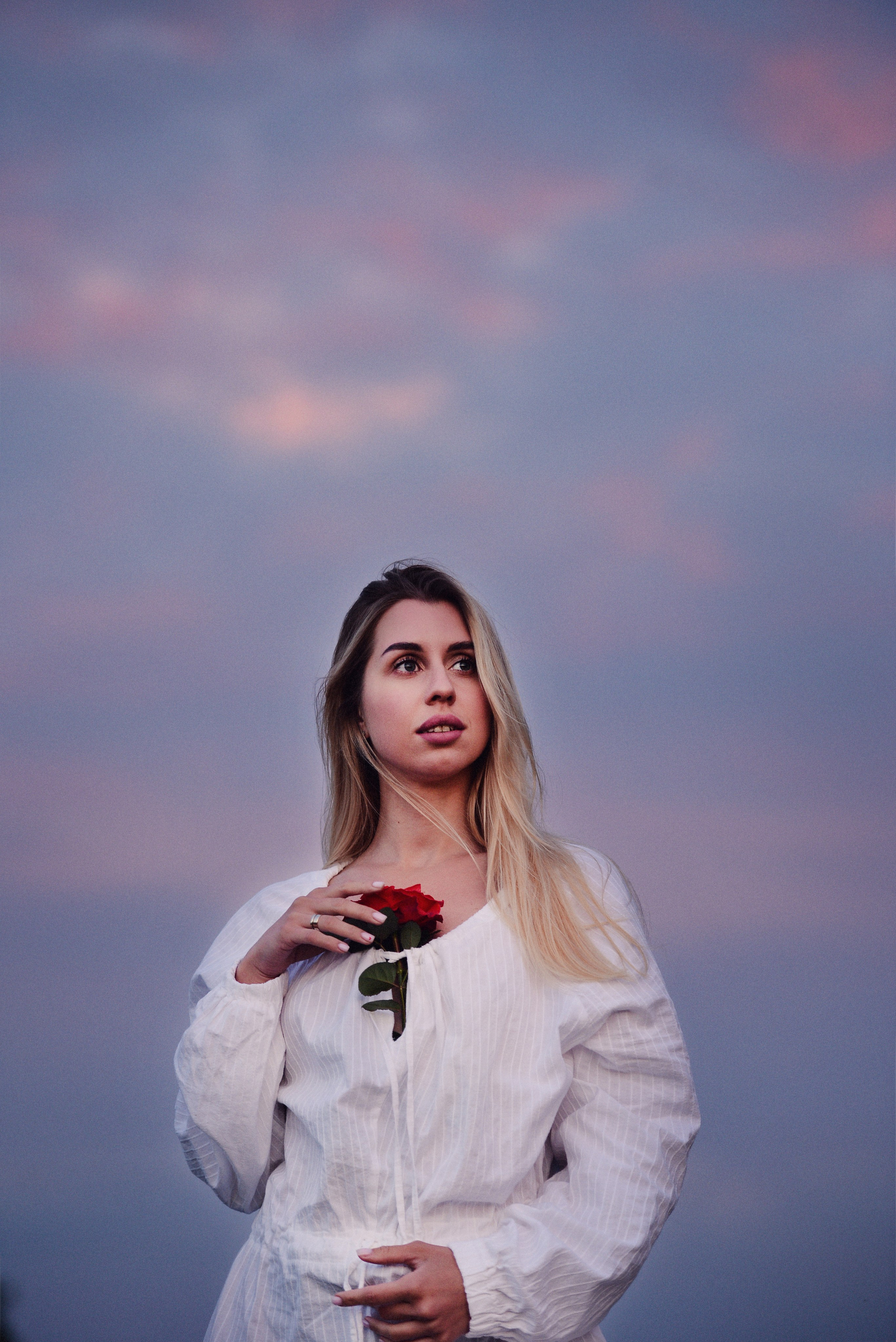 Нежная роза. Фотограф Натали Кошевая _ Днепр, Подгородное