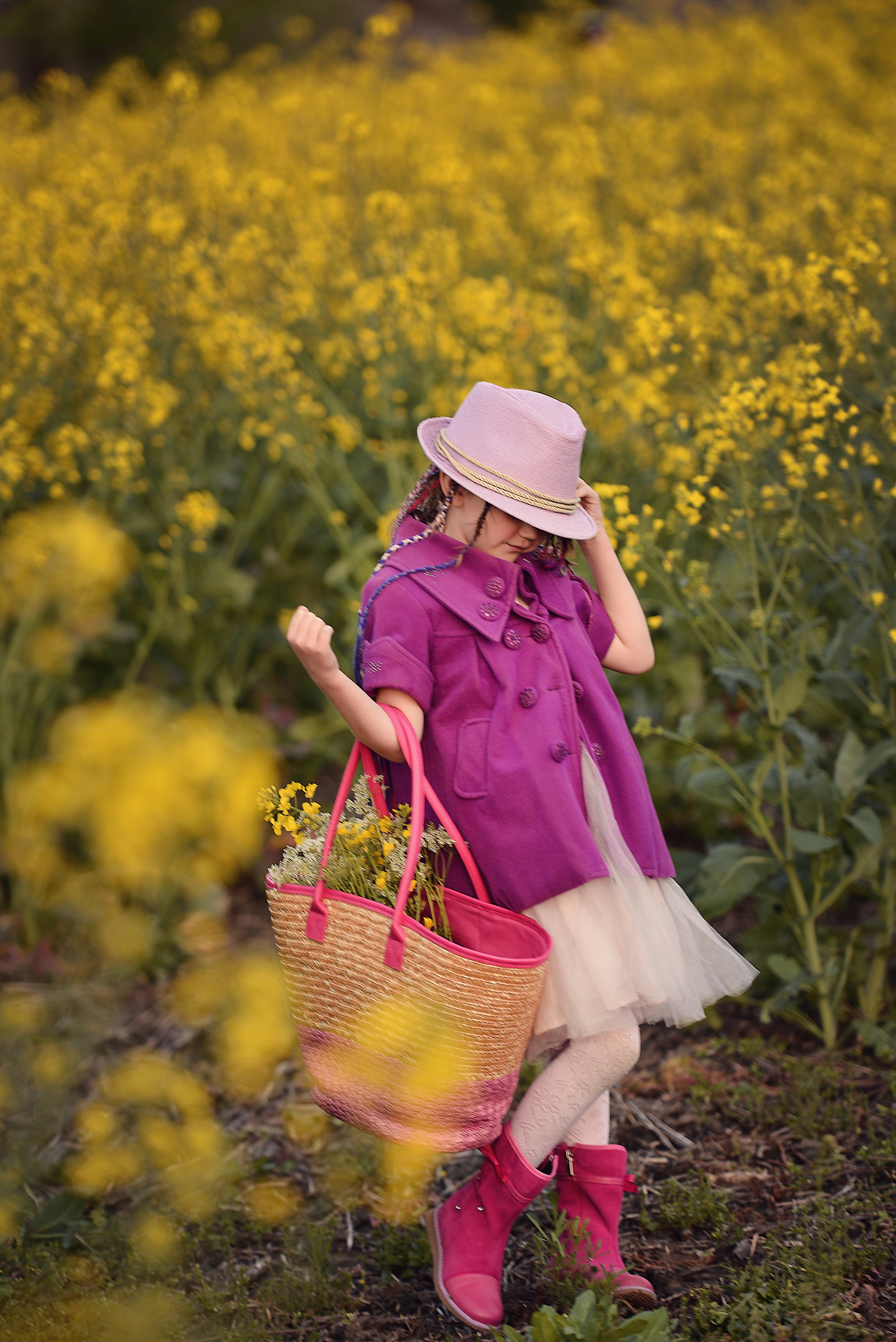 Закат на желтом поле. Фотограф Натали Кошевая _ Днепр, Подгородное