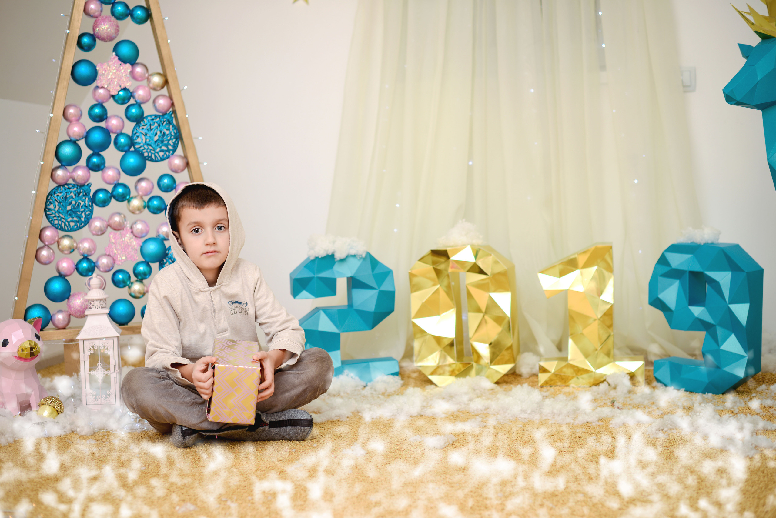 Новогодние съёмки. Фотограф Натали Кошевая _ Днепр, Подгородное