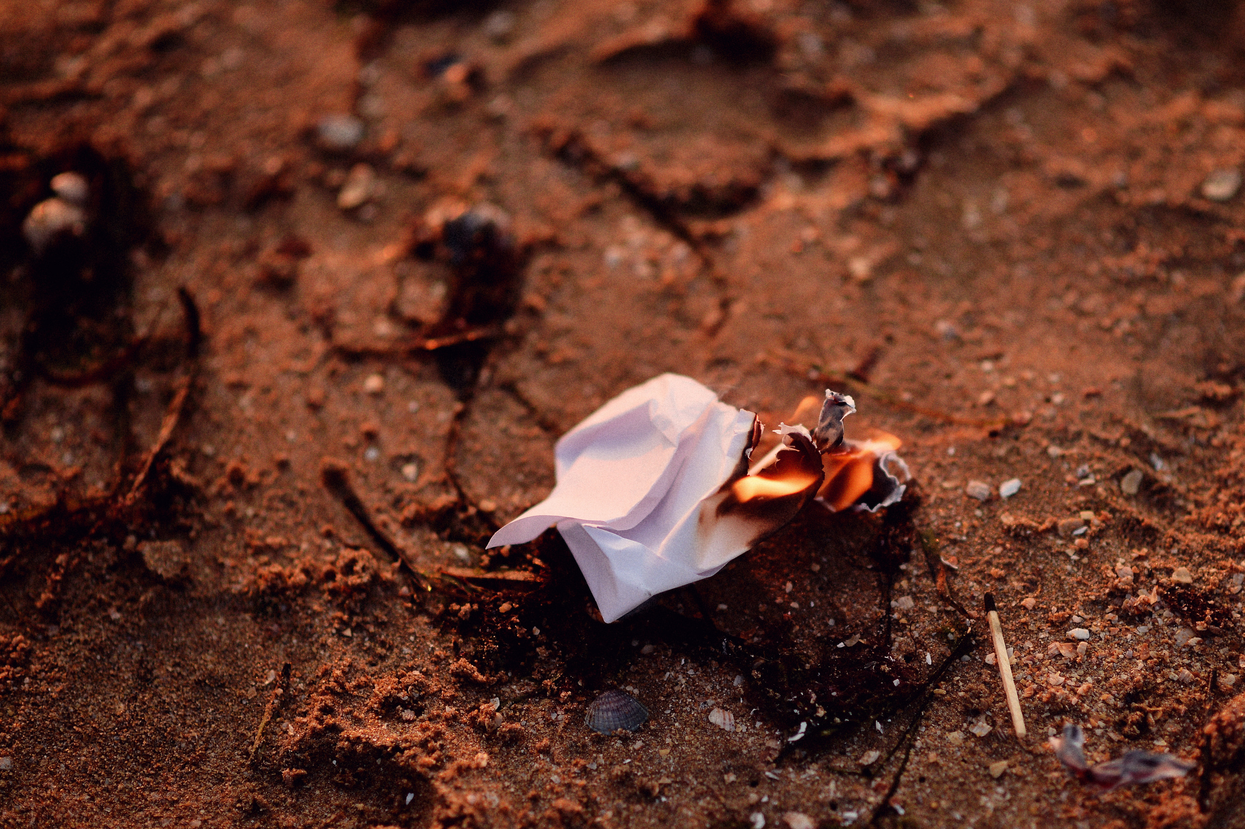 Идейные съёмки. Фотограф Натали Кошевая _ Днепр, Подгородное