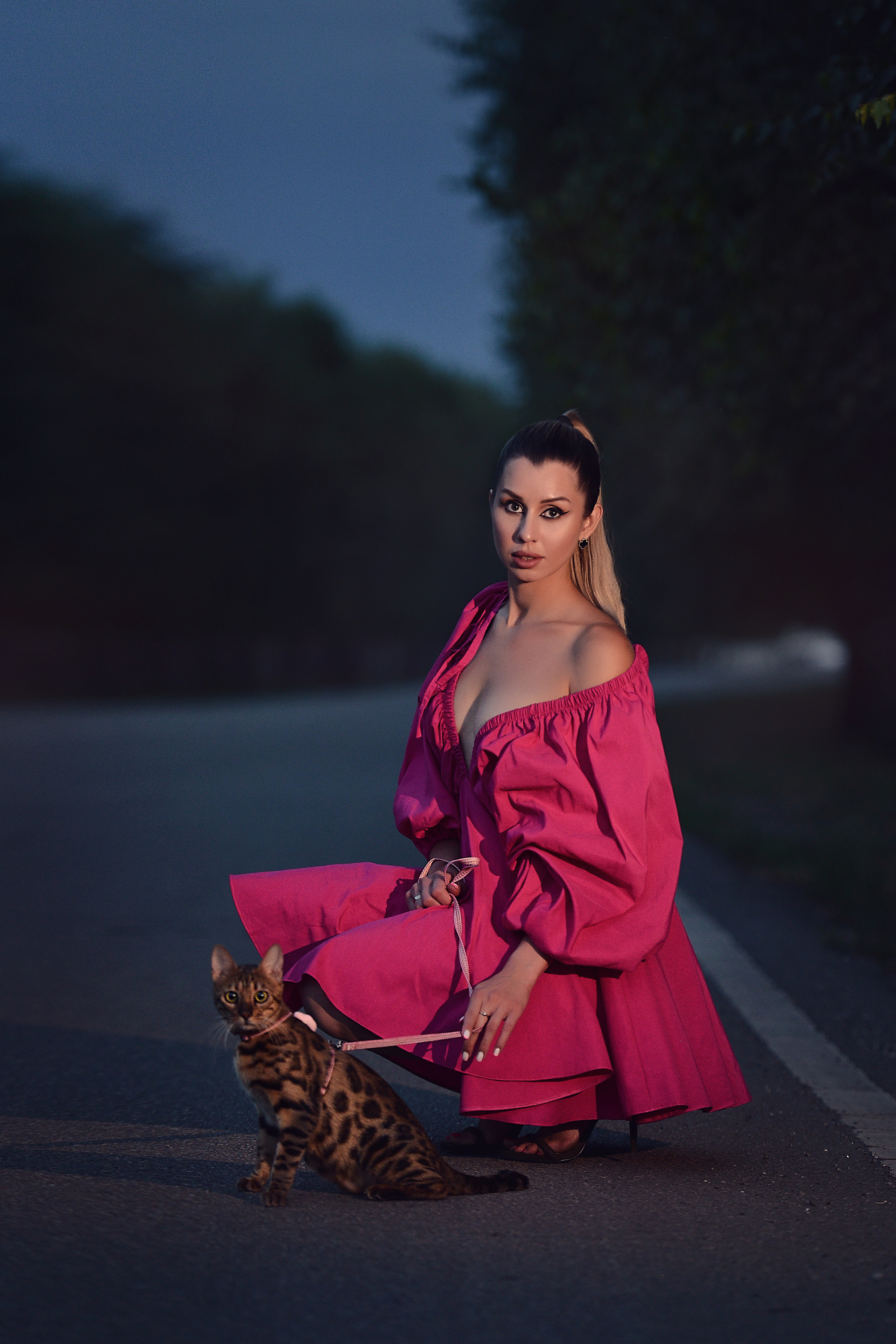 Две кошки. Фотограф Натали Кошевая _ Днепр, Подгородное