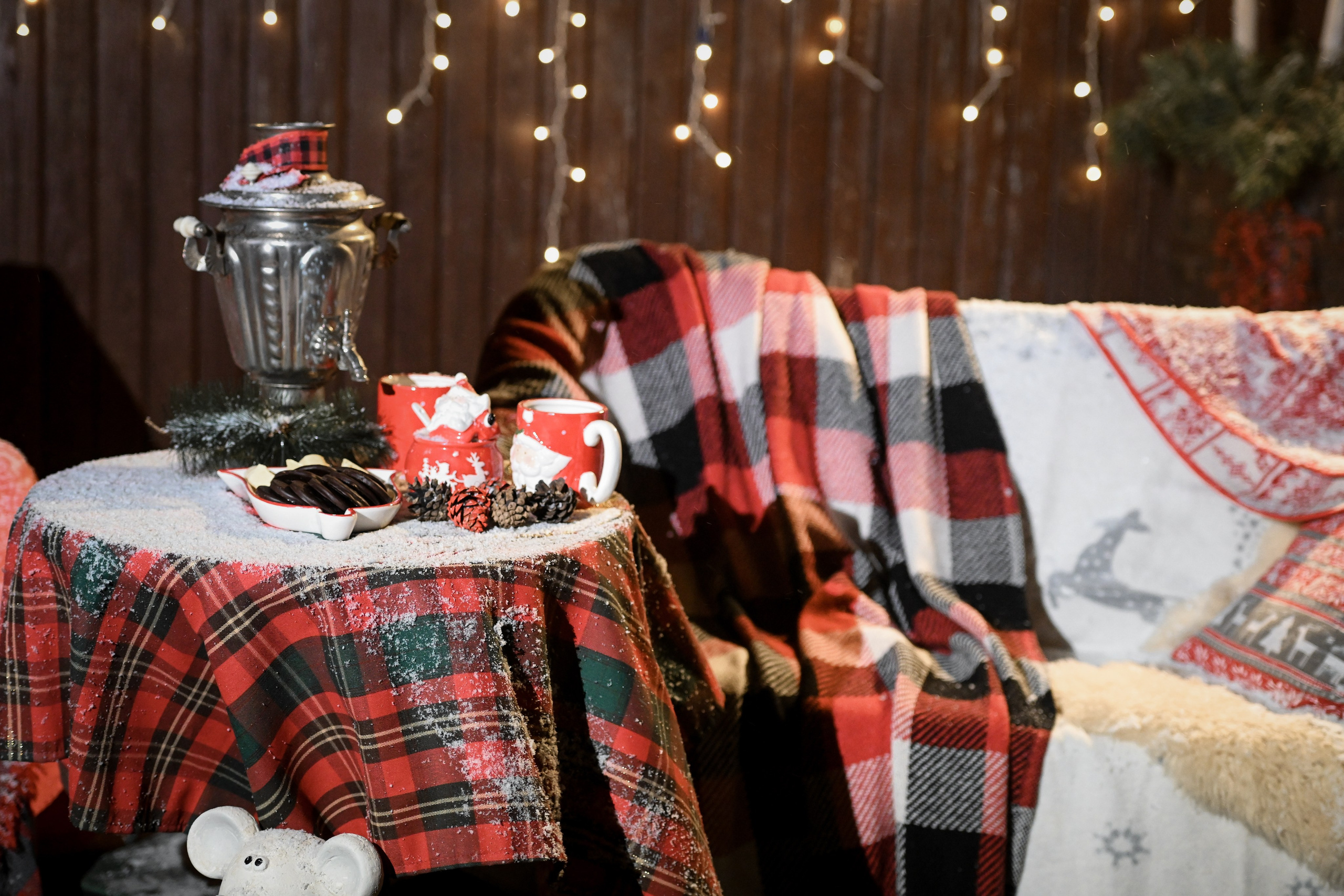 Первый снег. Фотограф Натали Кошевая _ Днепр, Подгородное