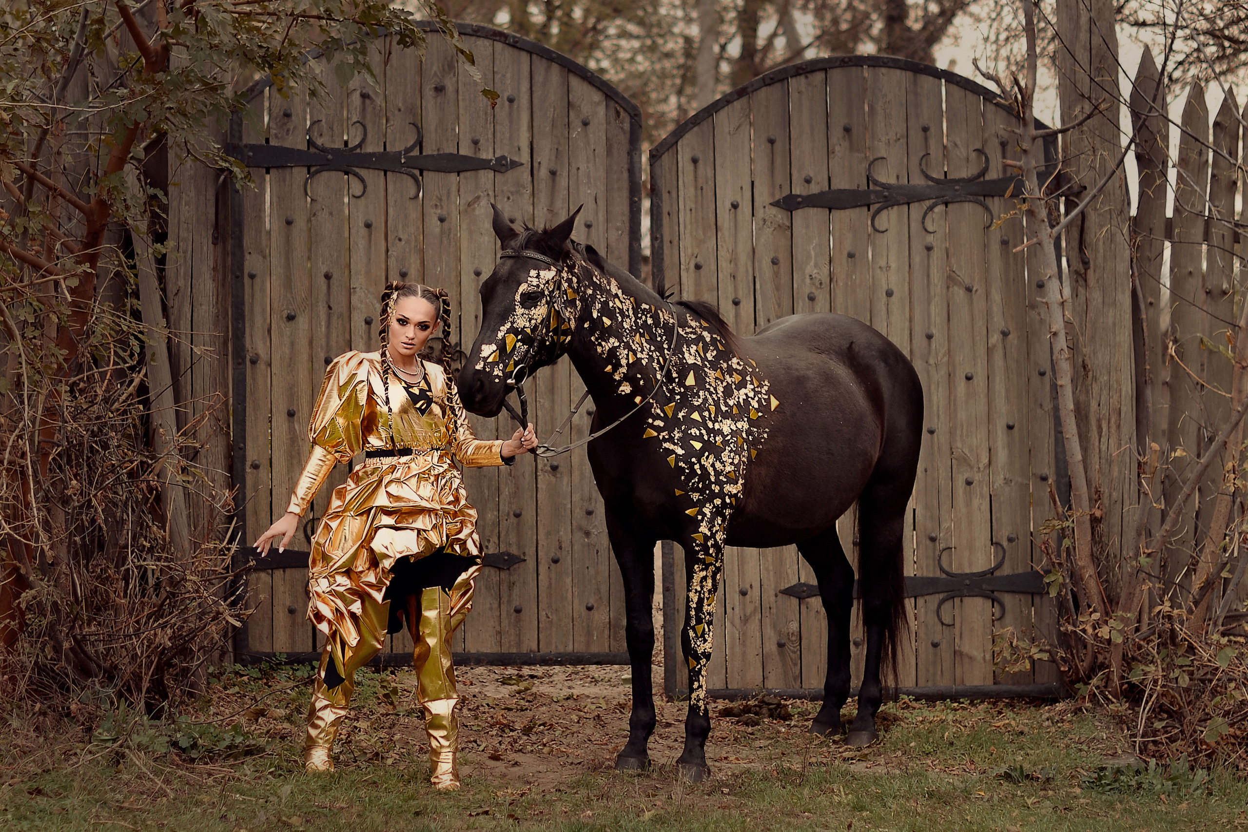 Идейная съёмка_Золотая фотосессия. Фотограф Натали Кошевая _ Днепр, Подгородное