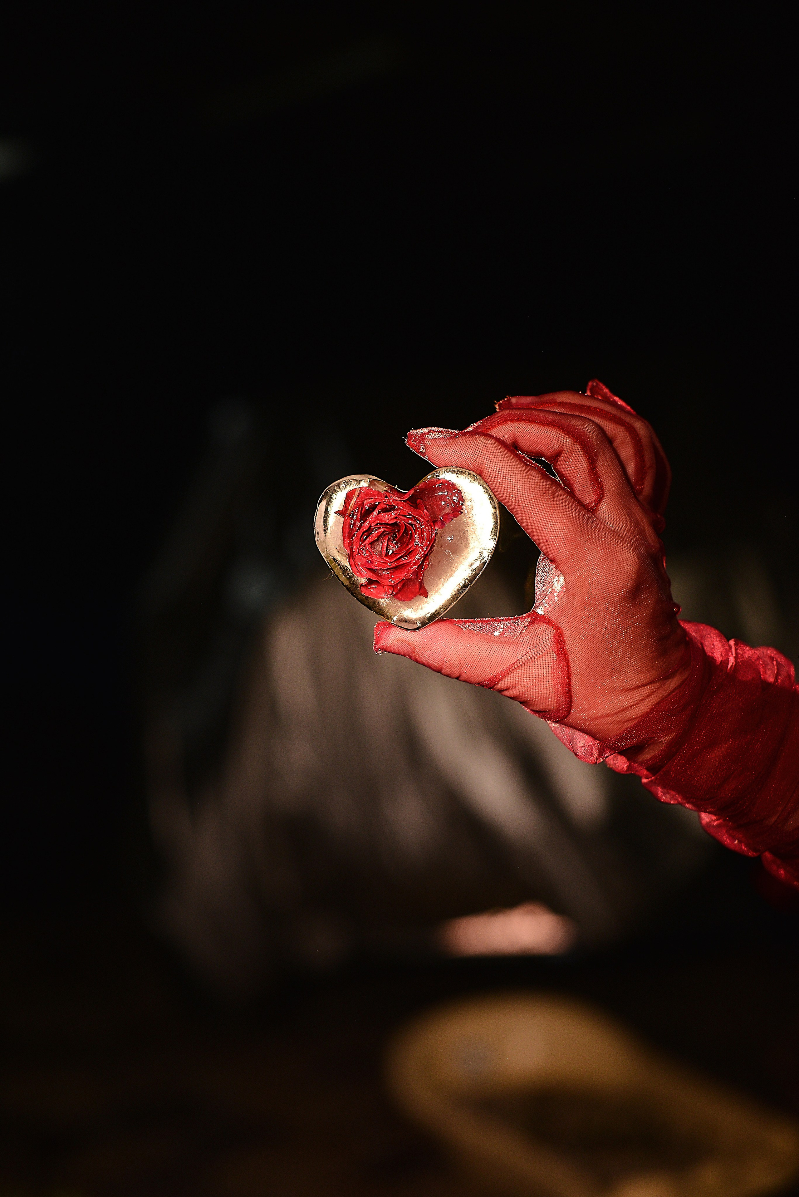 Розочка. Фотограф Натали Кошевая _ Днепр, Подгородное