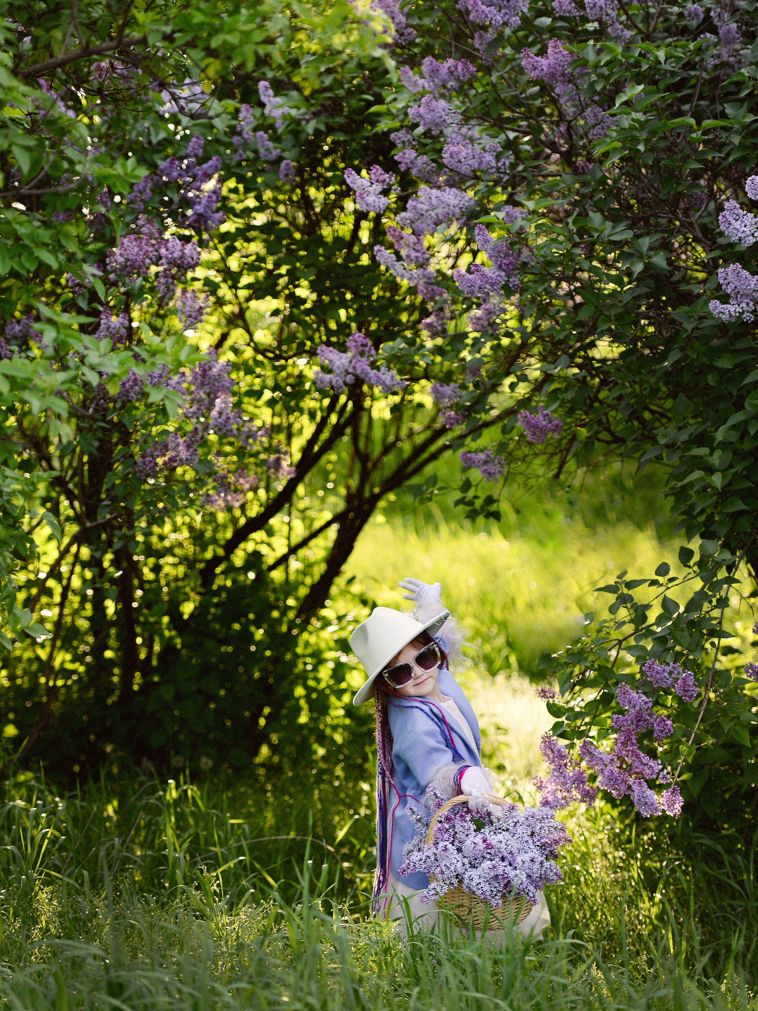Волшебная сирень. Фотограф Натали Кошевая _ Днепр, Подгородное