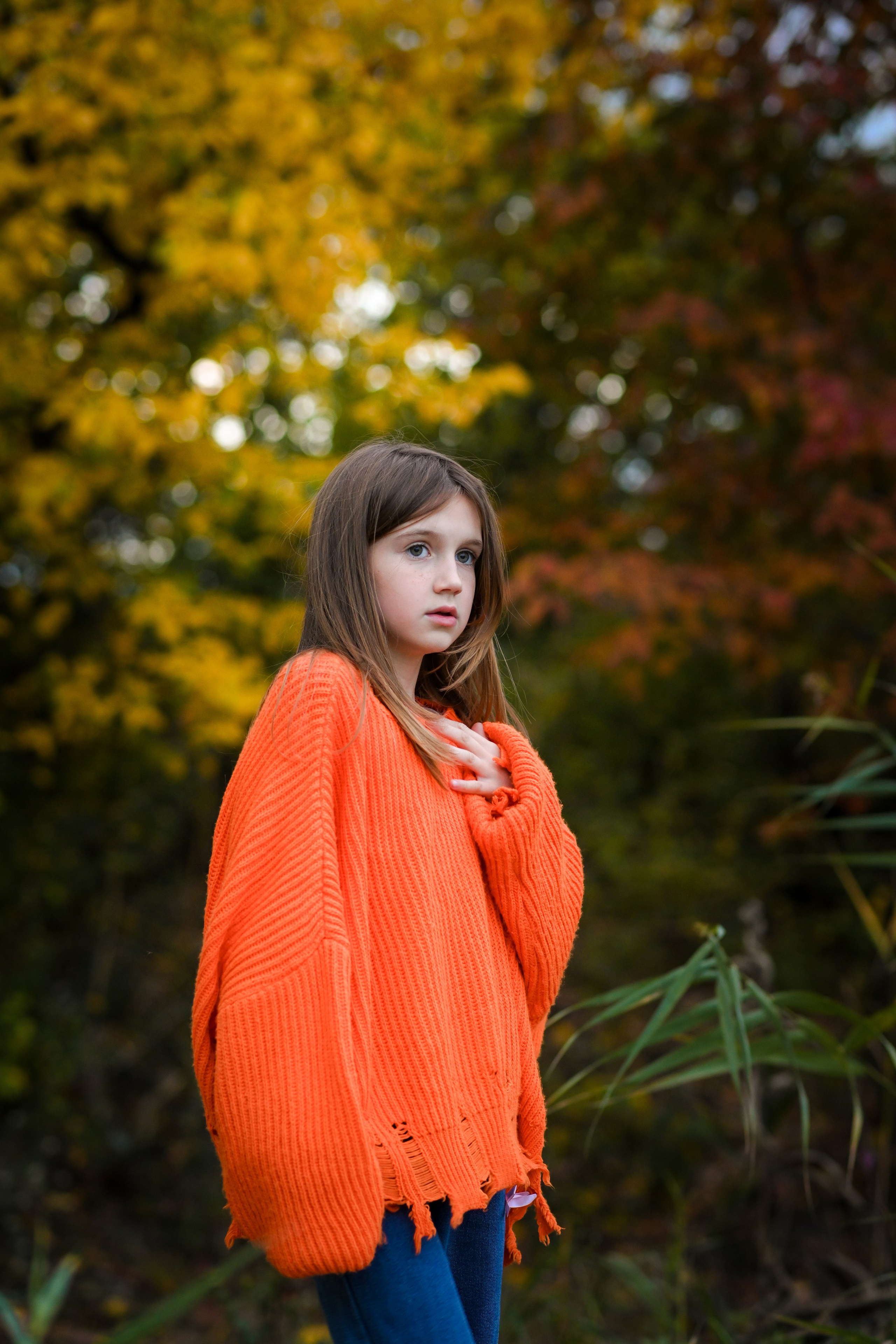 Осень в твоих волосах. Фотограф Натали Кошевая _ Днепр, Подгородное