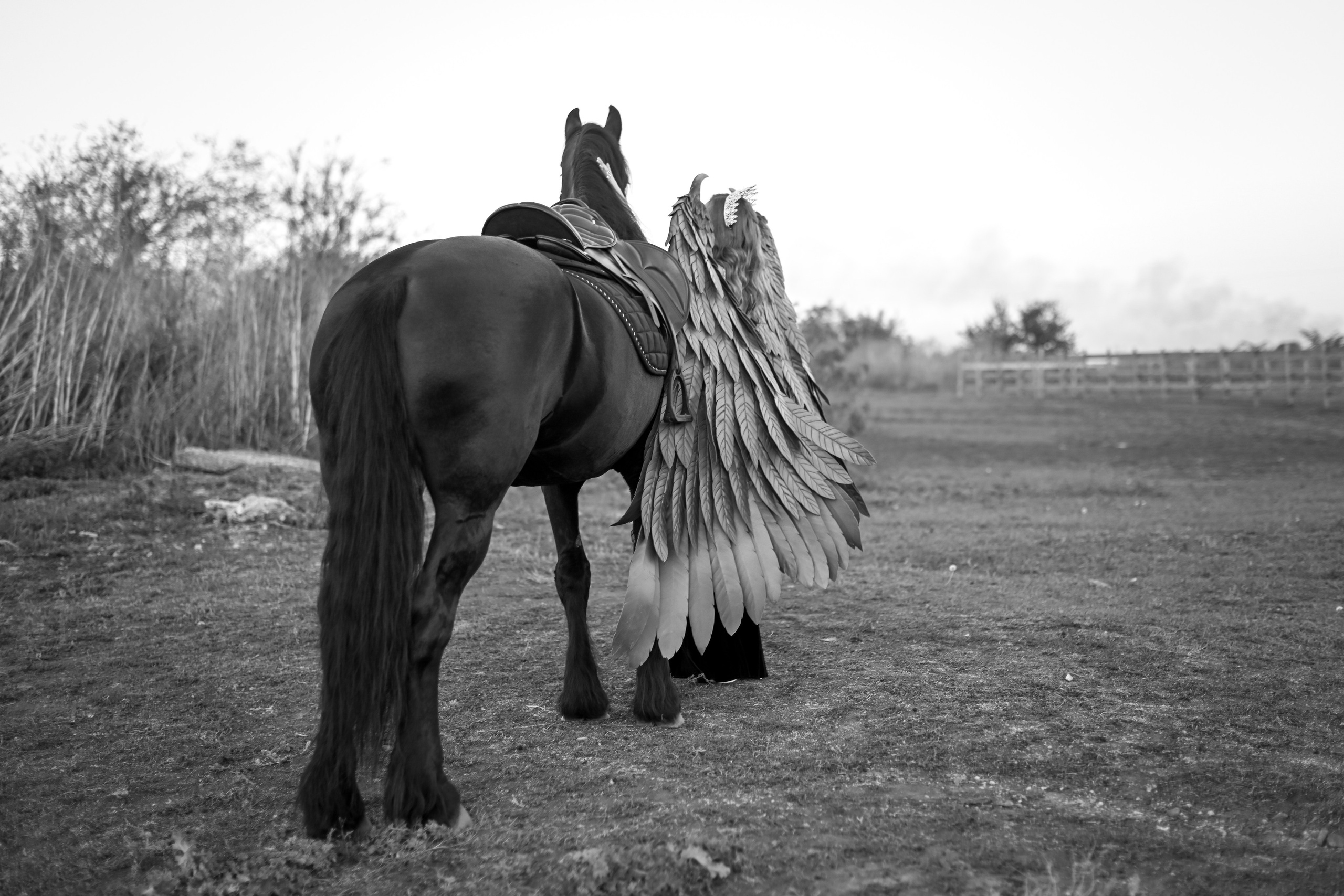 Анастасия и Линда. Фотограф Натали Кошевая _ Днепр, Подгородное