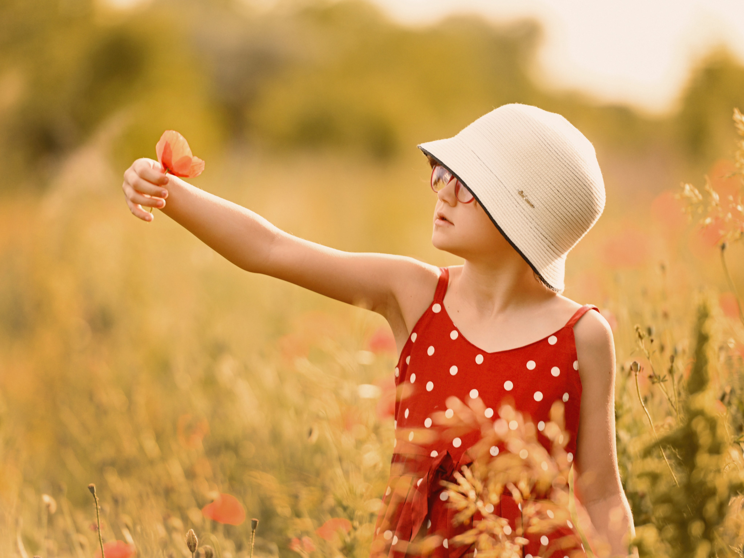 Маковая нежность. Фотограф Натали Кошевая _ Днепр, Подгородное