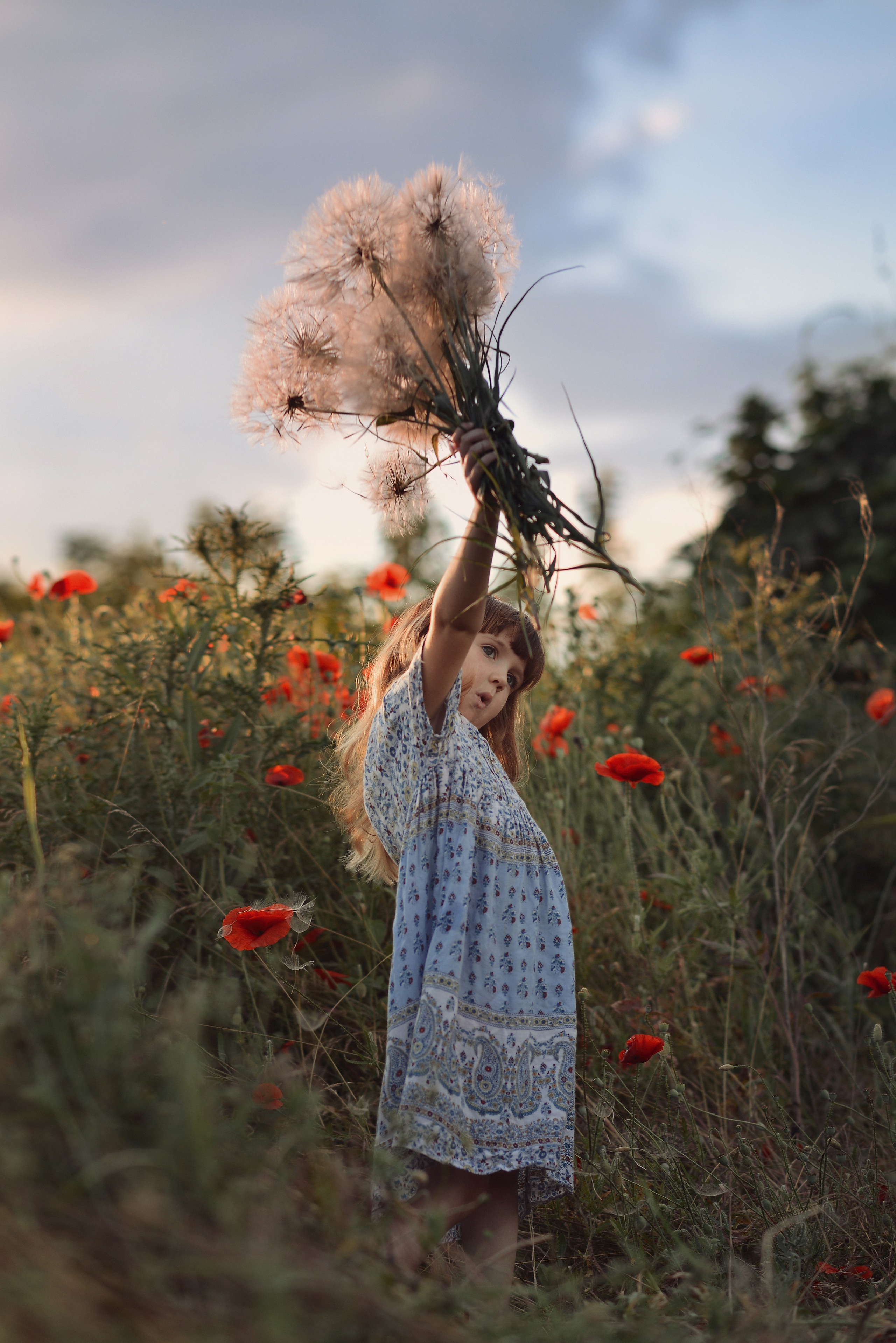 Маковая история. Фотограф Натали Кошевая _ Днепр, Подгородное