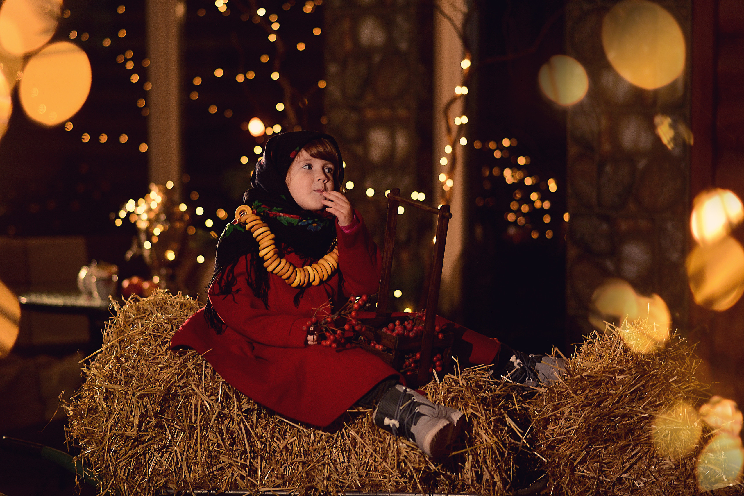 Новогодние съёмки. Фотограф Натали Кошевая _ Днепр, Подгородное