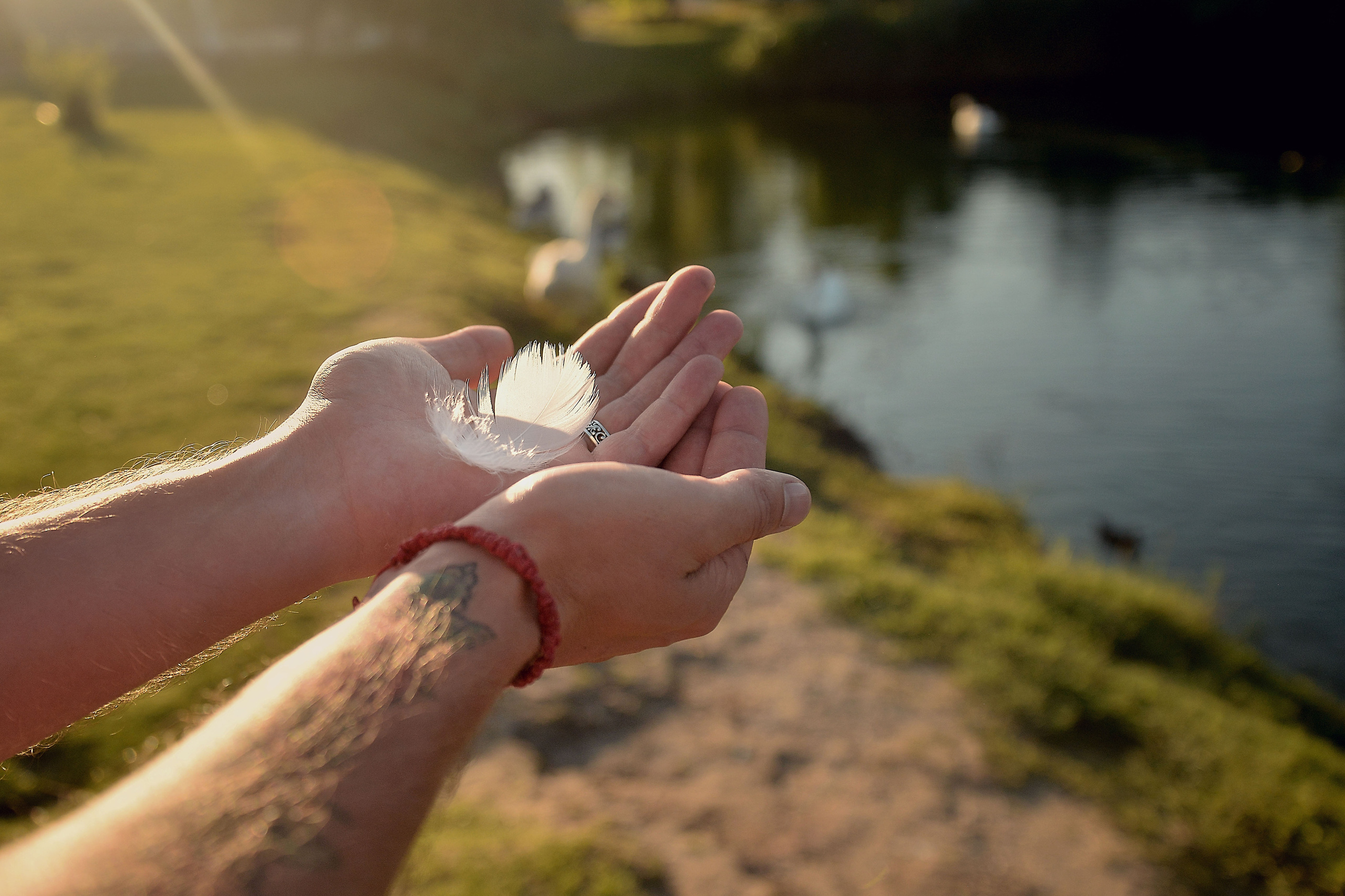 Ангел, спустившийся с небес. Фотограф Натали Кошевая _ Днепр, Подгородное