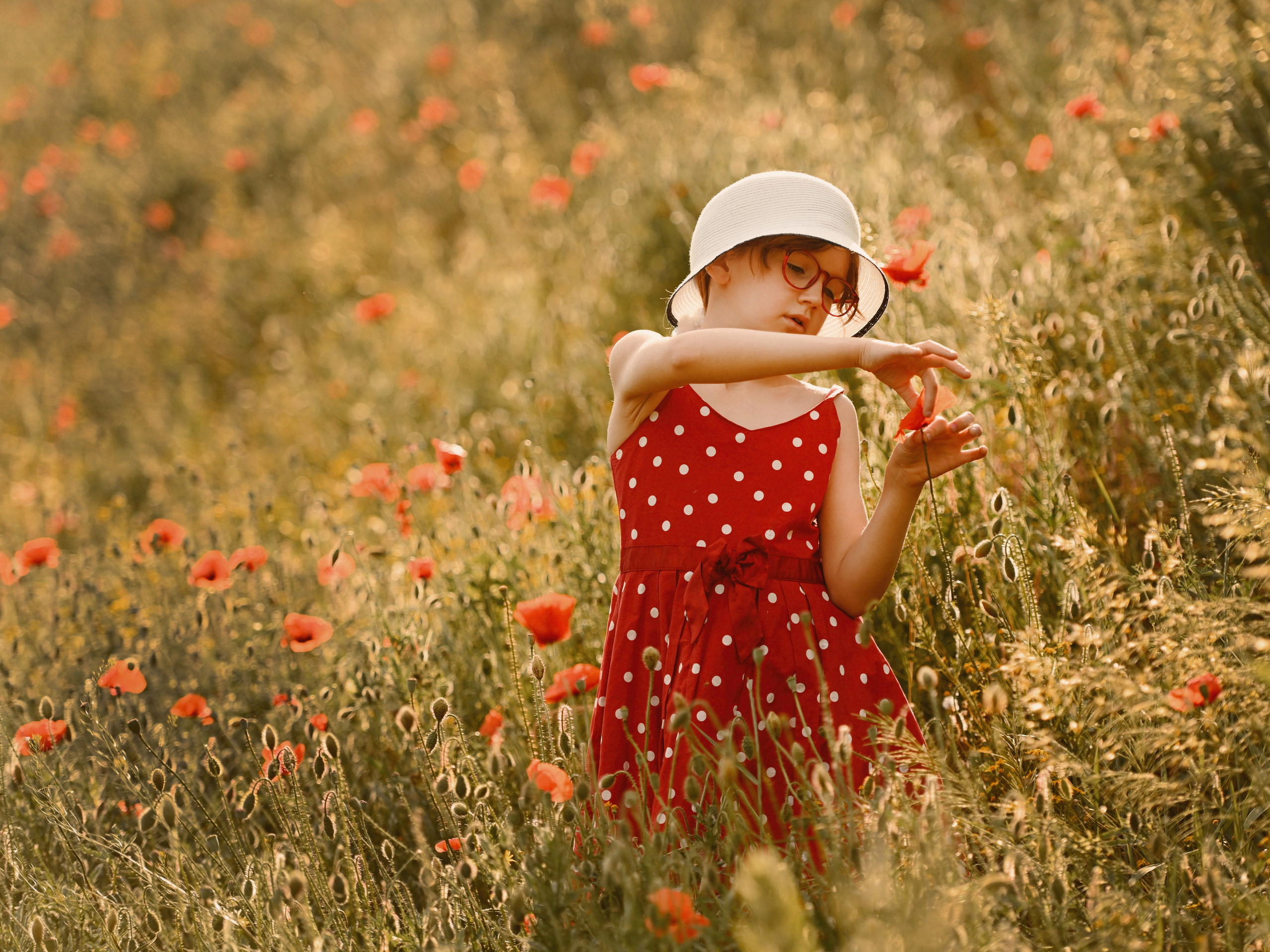 Маковая нежность. Фотограф Натали Кошевая _ Днепр, Подгородное