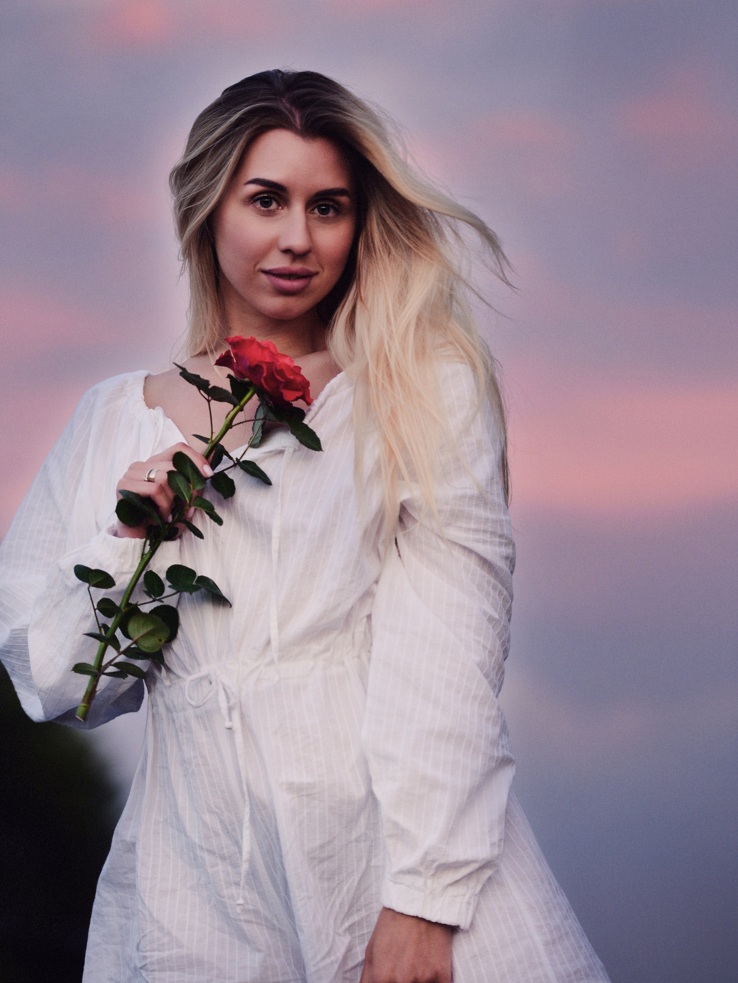 Нежная роза. Фотограф Натали Кошевая _ Днепр, Подгородное