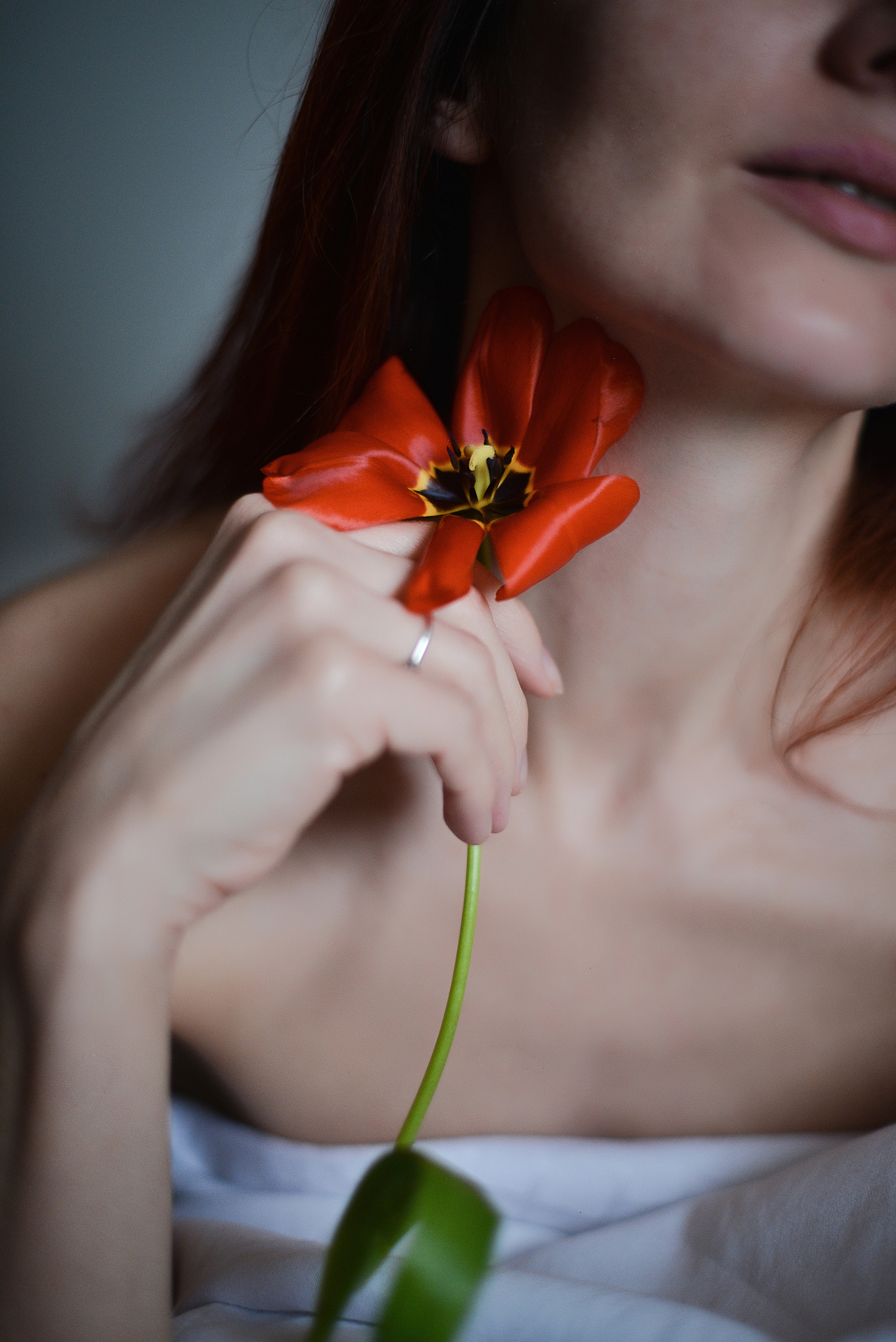 Тюльпанный рай. Фотограф Натали Кошевая _ Днепр, Подгородное