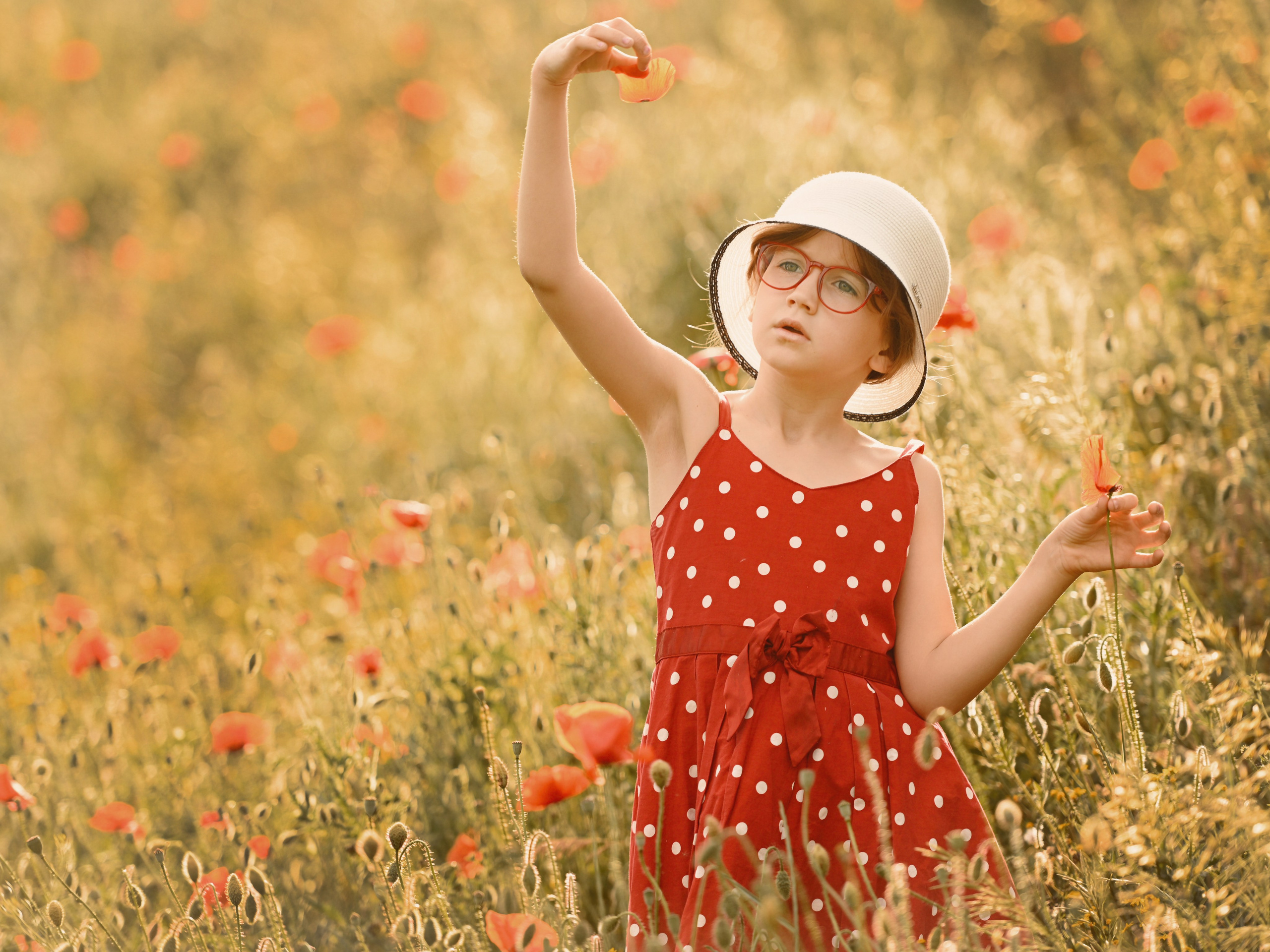 Маковая нежность. Фотограф Натали Кошевая _ Днепр, Подгородное