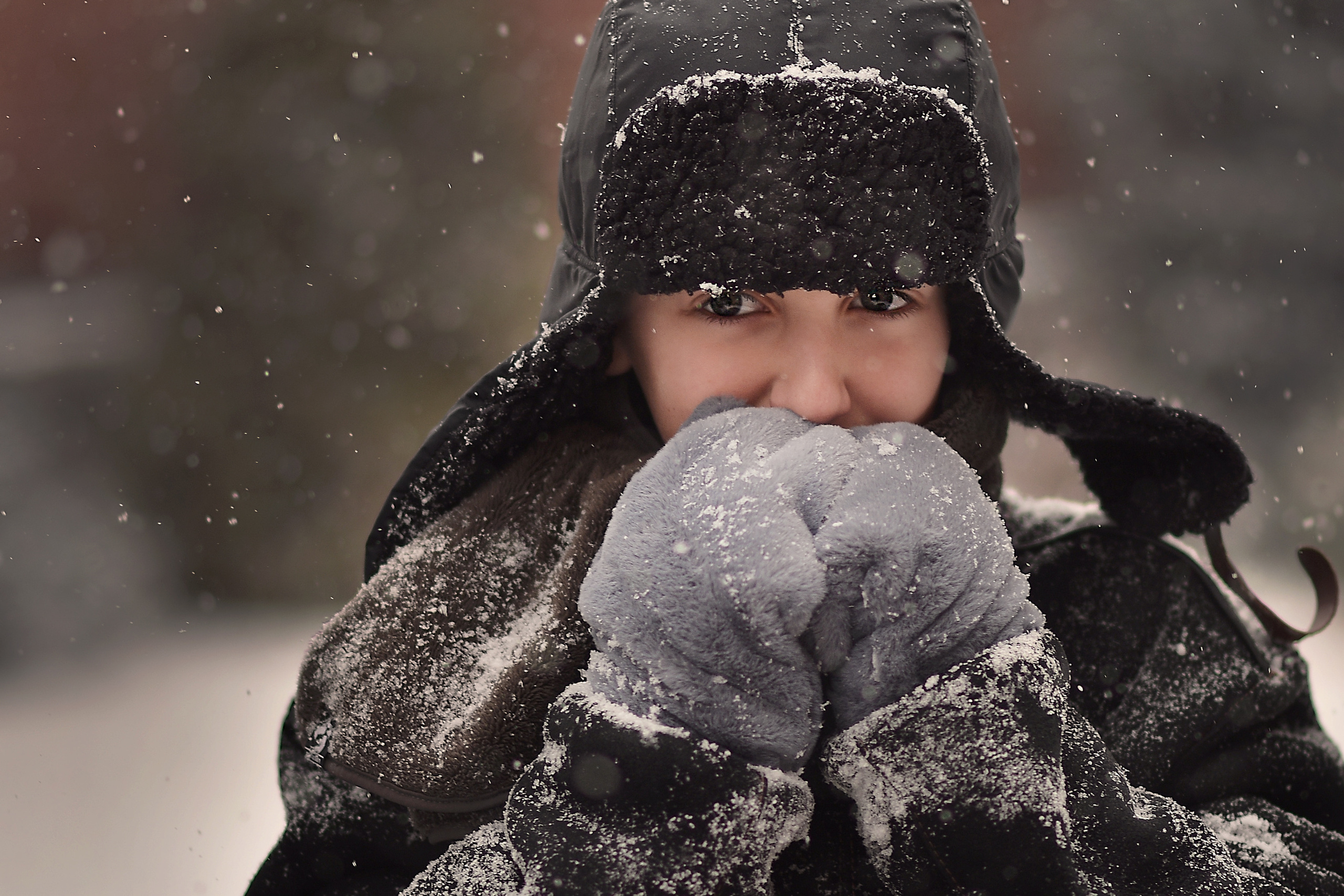 Февральская вьюга. Фотограф Натали Кошевая _ Днепр, Подгородное
