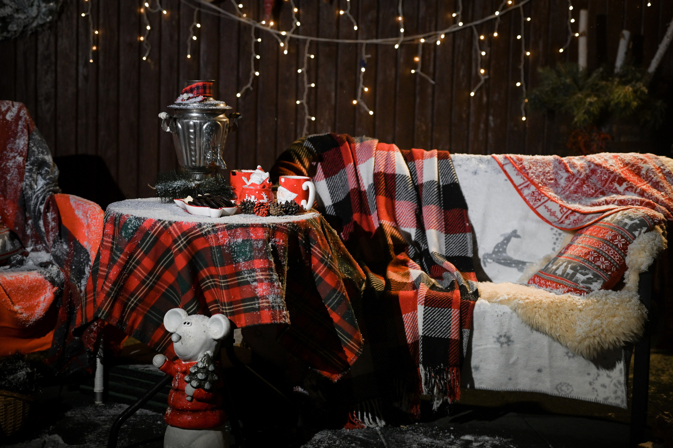 Первый снег. Фотограф Натали Кошевая _ Днепр, Подгородное