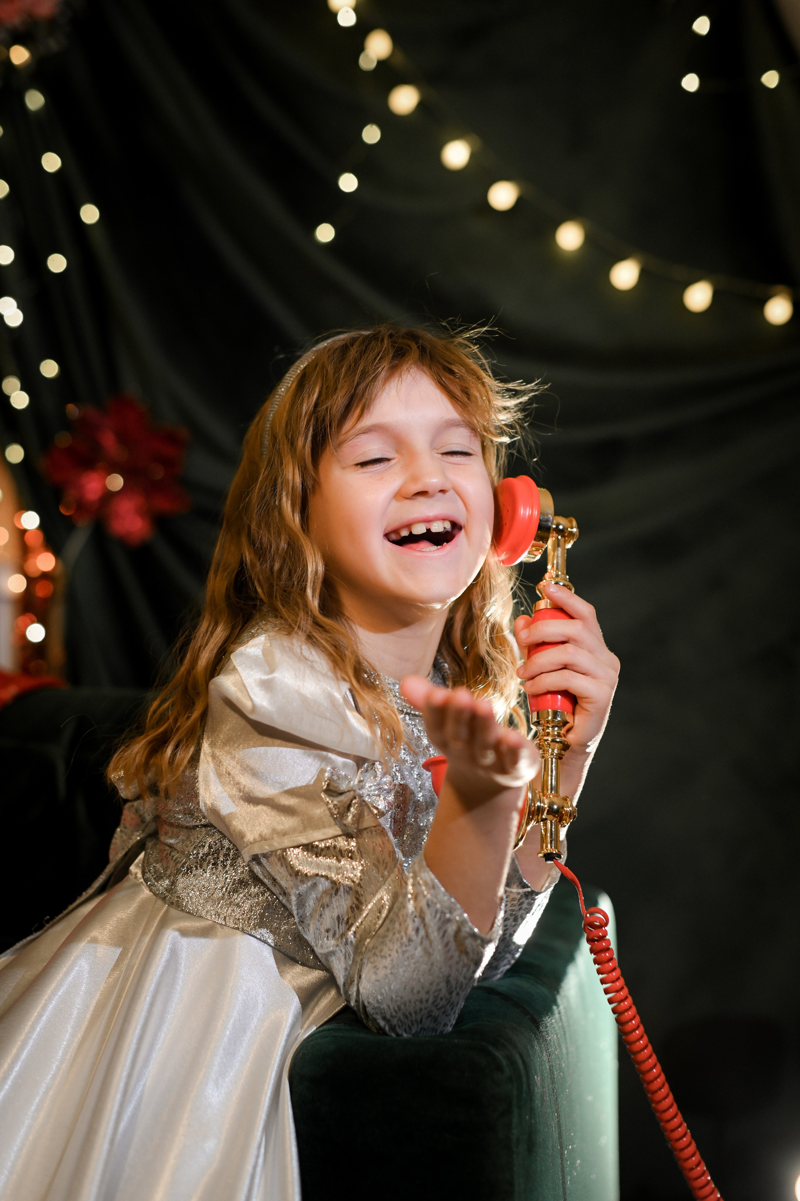 Новогодняя сказка. Фотограф Натали Кошевая _ Днепр, Подгородное