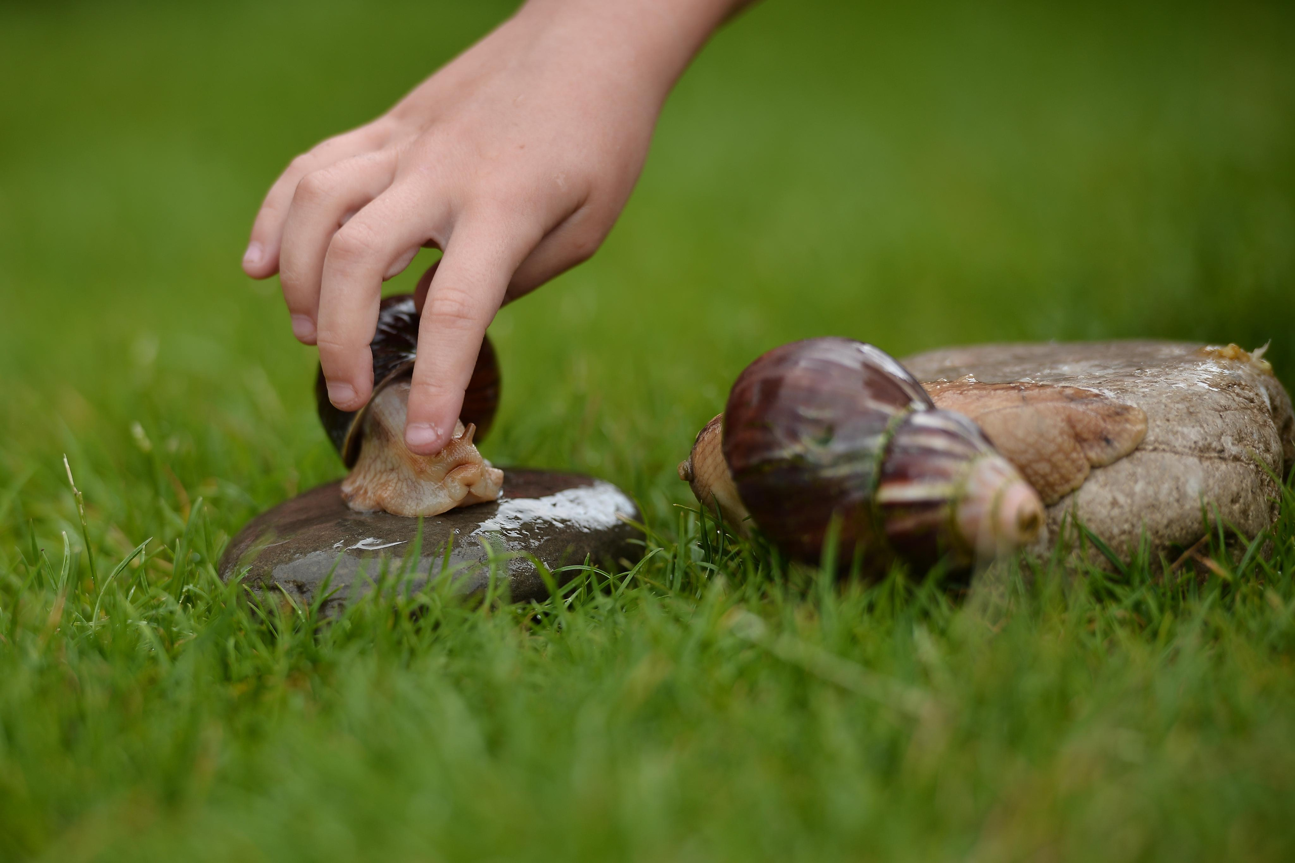 Необычные гости. Фотограф Натали Кошевая _ Днепр, Подгородное