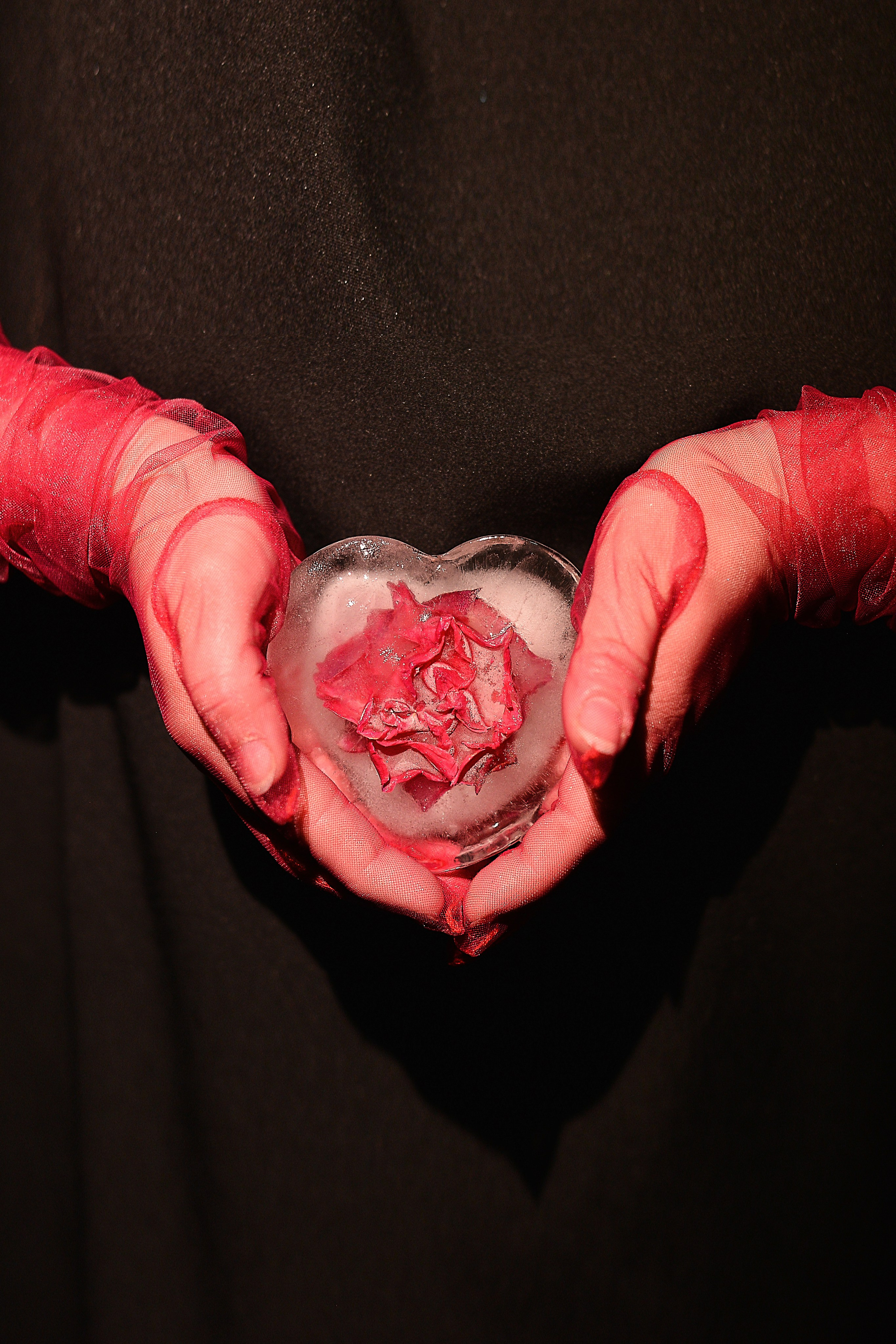 Розочка. Фотограф Натали Кошевая _ Днепр, Подгородное