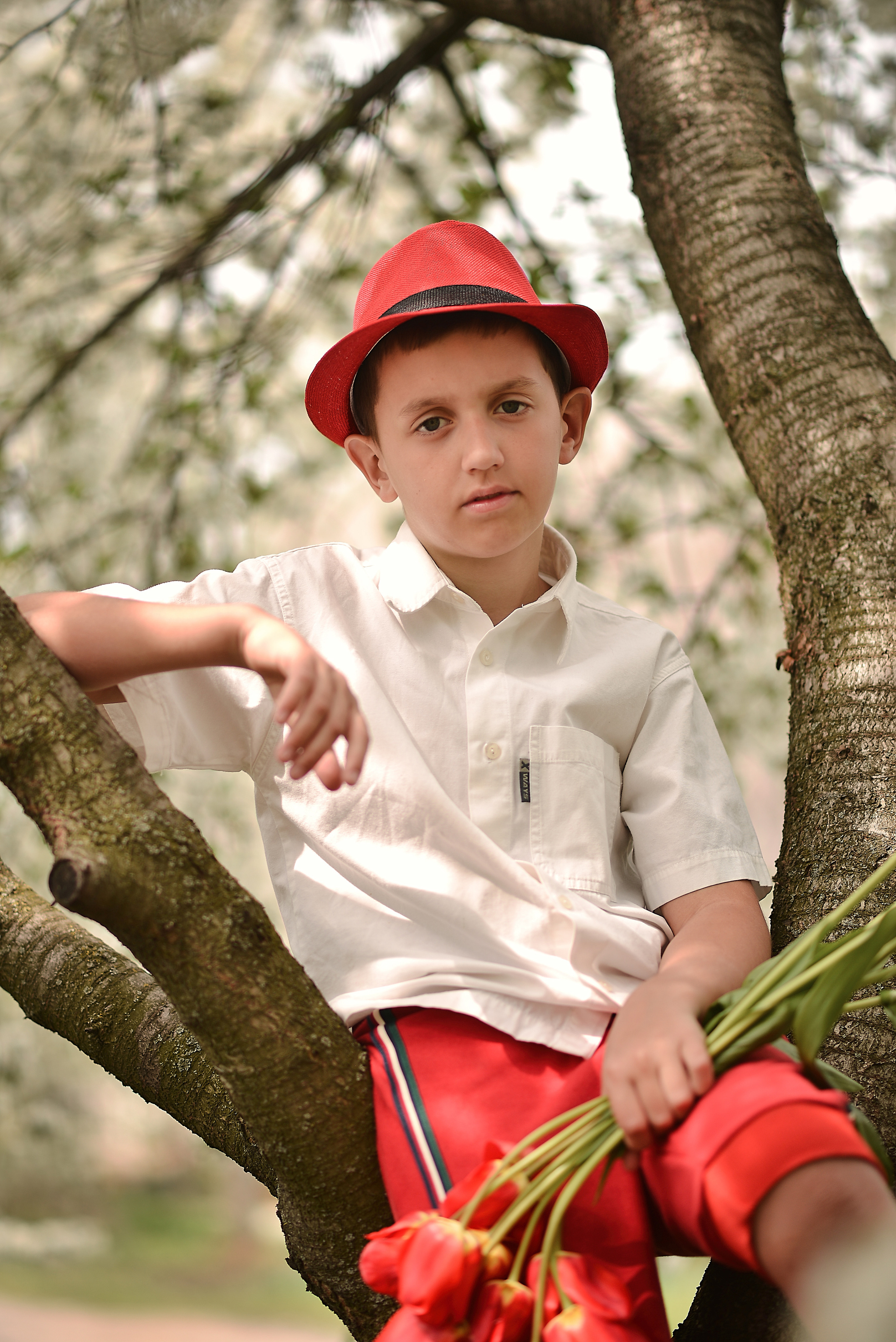 Тюльпанная история. Фотограф Натали Кошевая _ Днепр, Подгородное