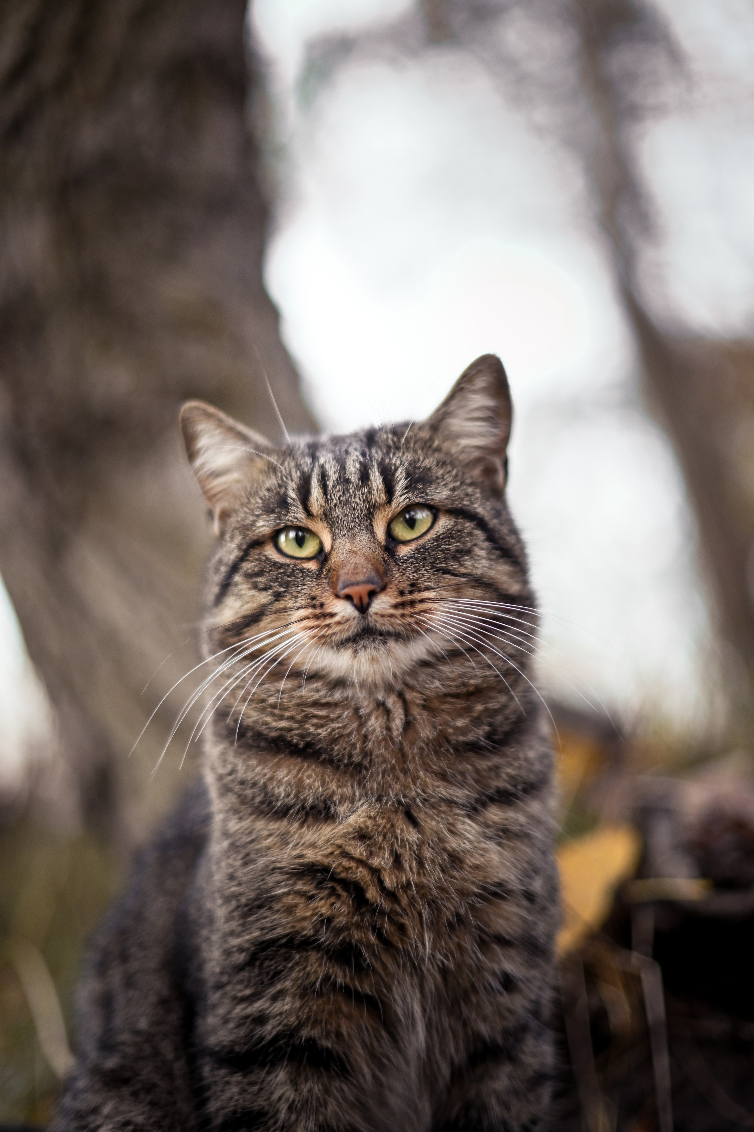 Осень в берете. Фотограф Натали Кошевая _ Днепр, Подгородное