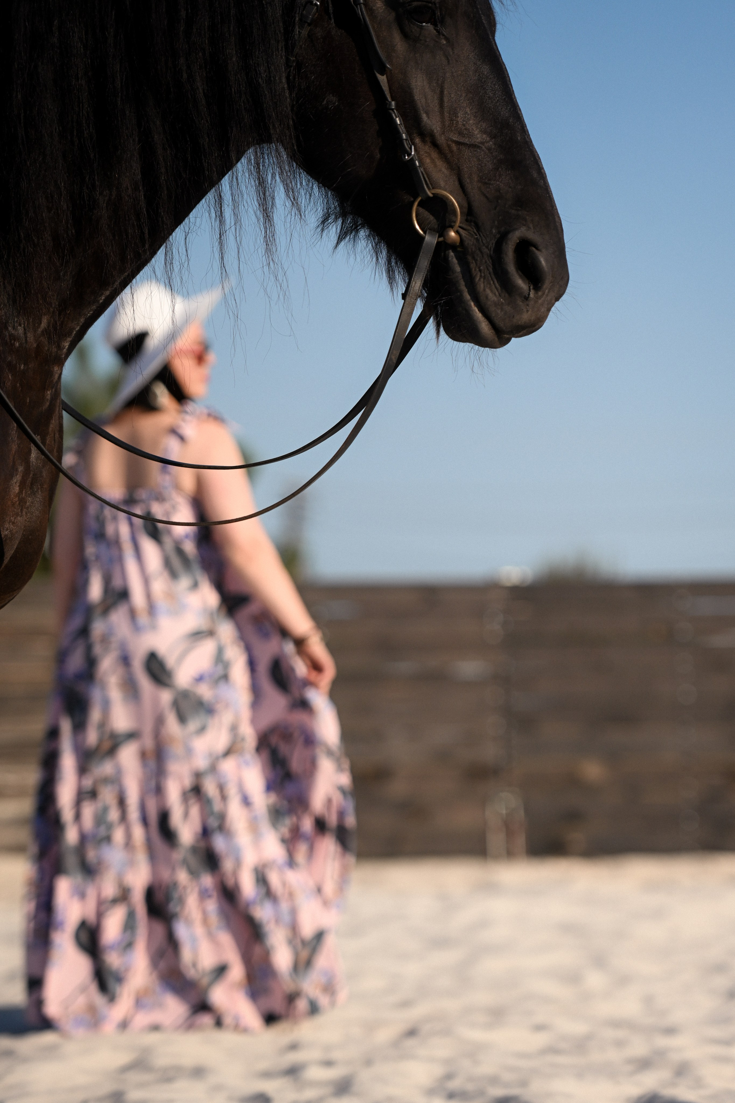 В Конюшне. Фотограф Натали Кошевая _ Днепр, Подгородное
