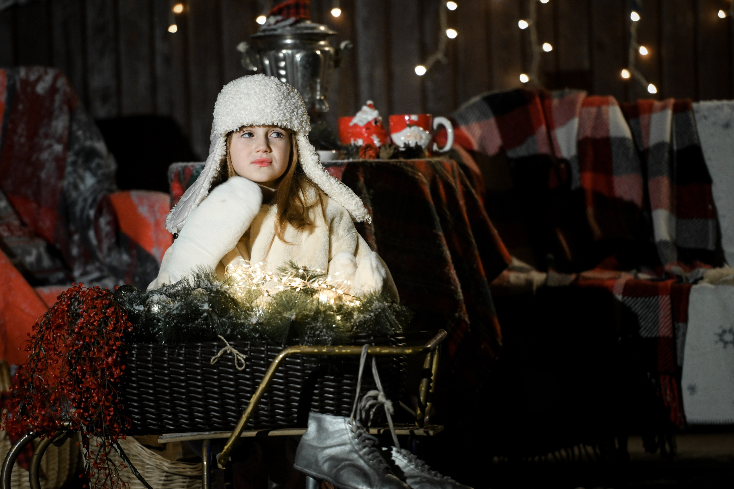 Первый снег. Фотограф Натали Кошевая _ Днепр, Подгородное