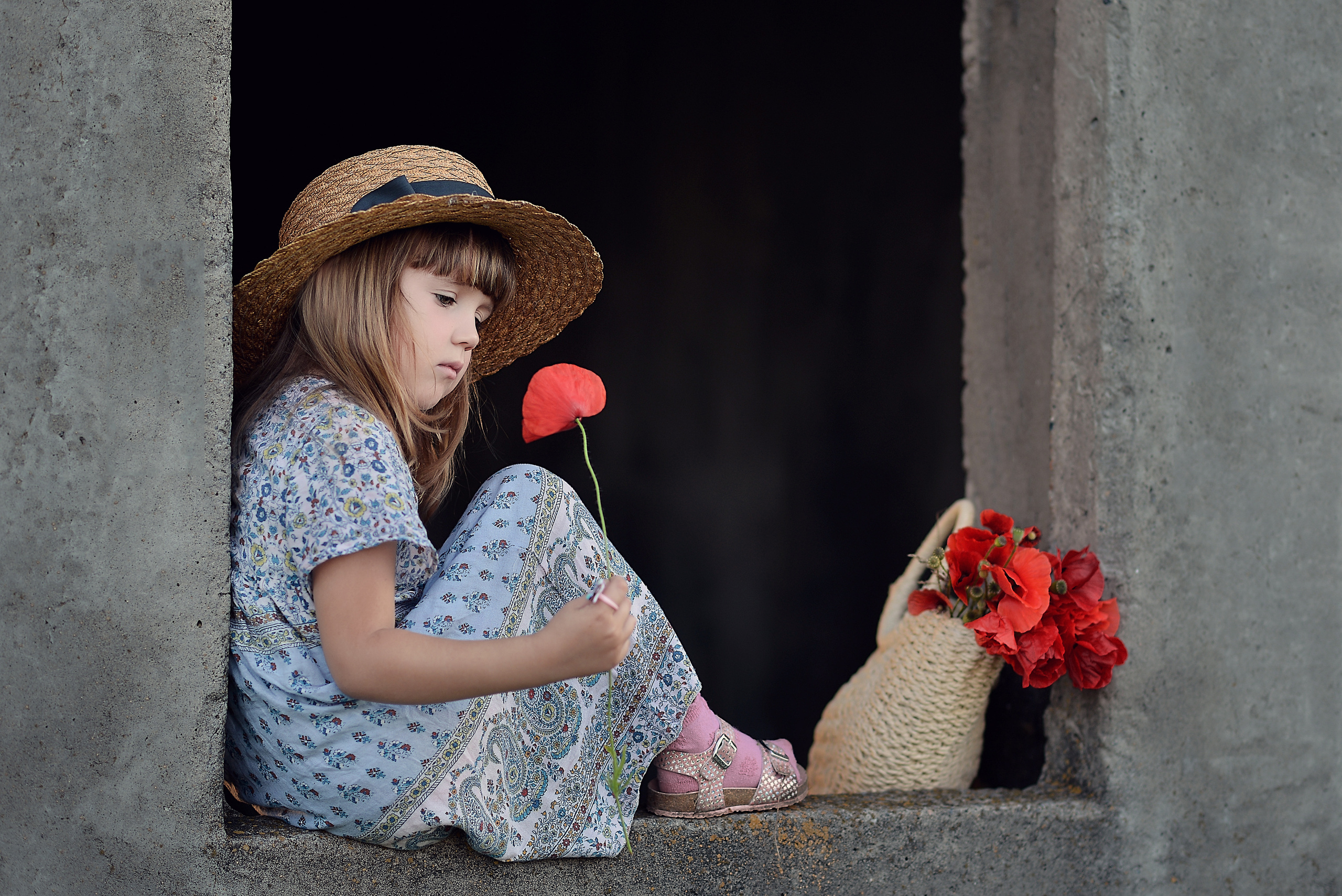Маки. Фотограф Натали Кошевая _ Днепр, Подгородное