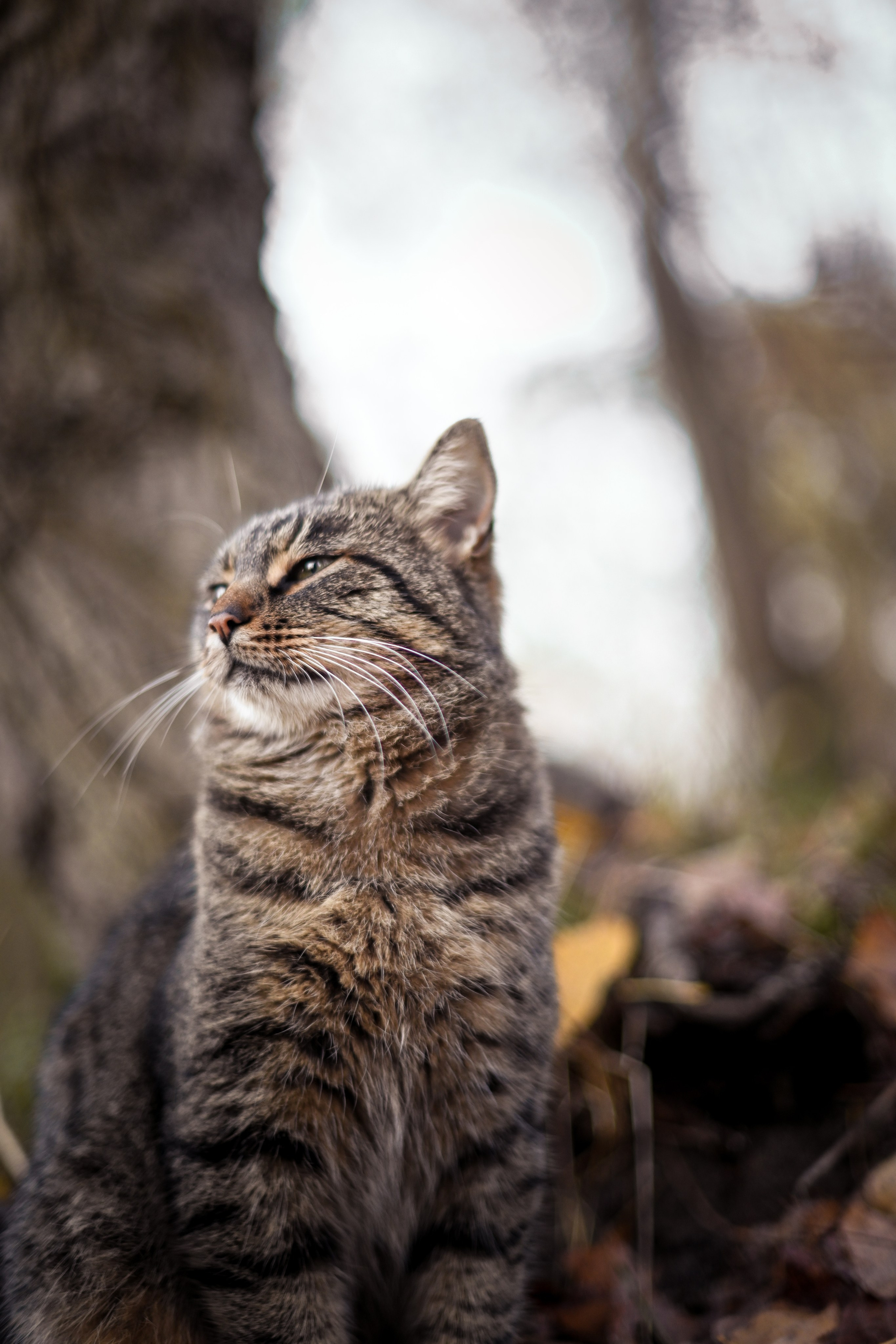 Осень в берете. Фотограф Натали Кошевая _ Днепр, Подгородное