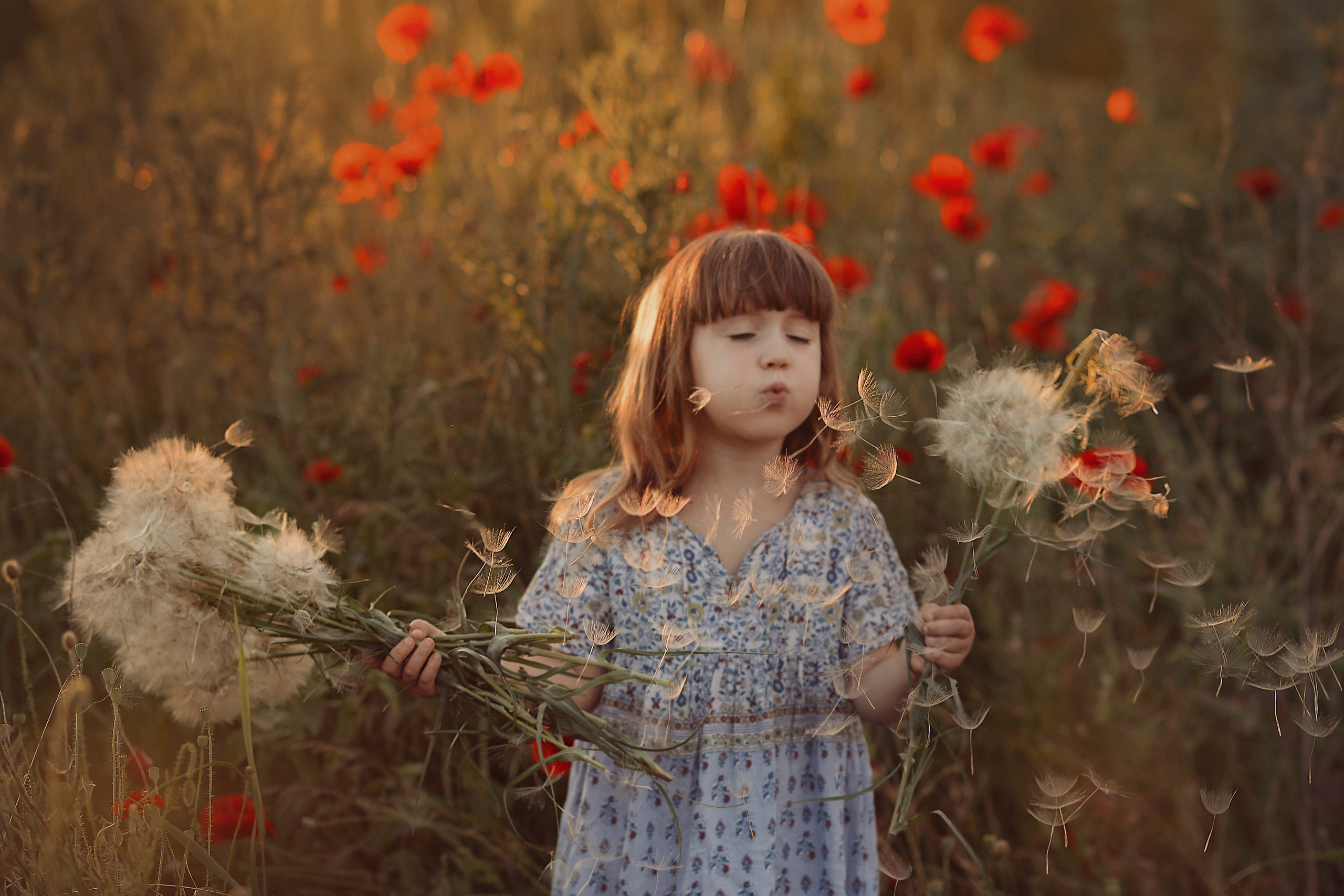 Маковая история. Фотограф Натали Кошевая _ Днепр, Подгородное