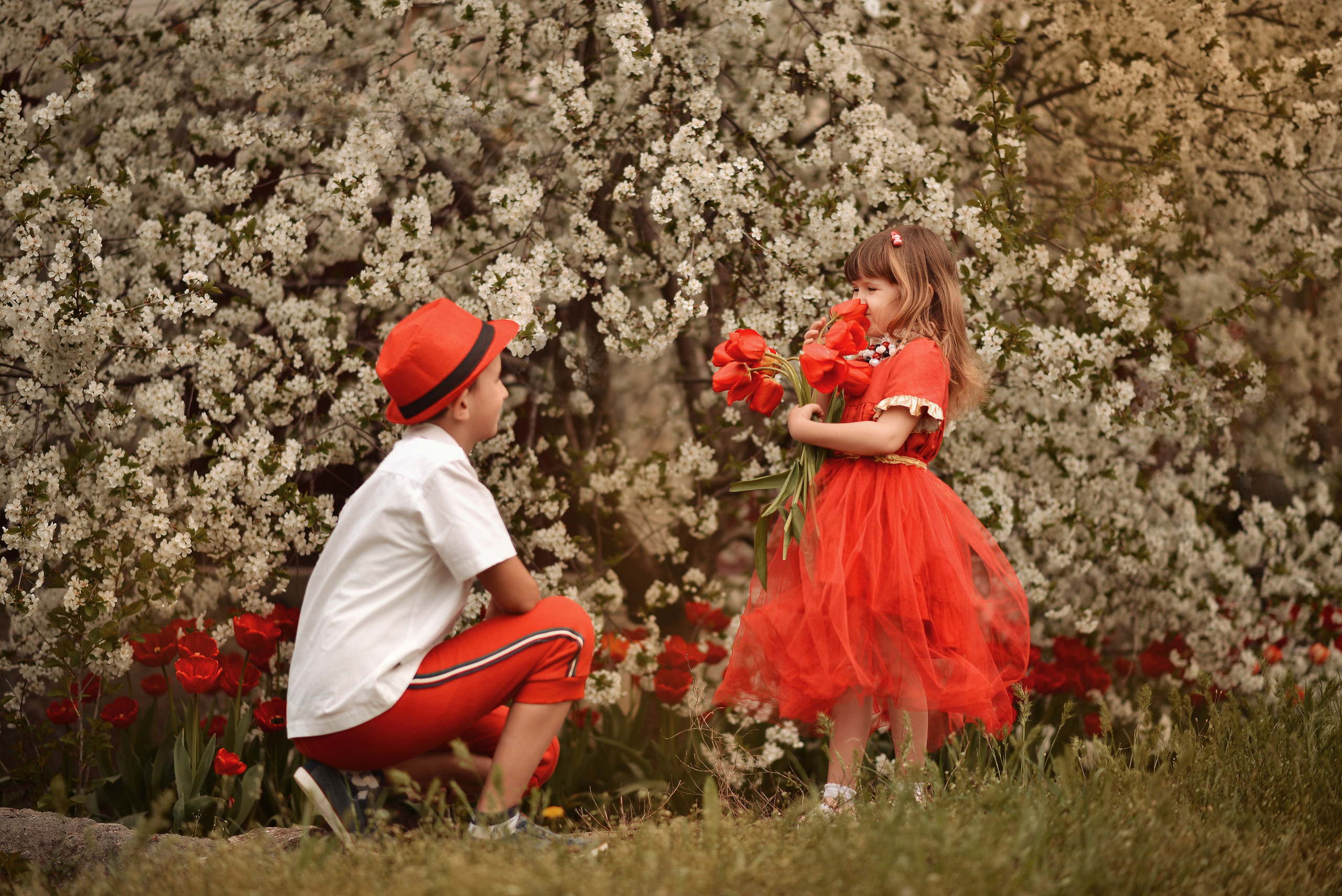 Тюльпанное настроение. Фотограф Натали Кошевая _ Днепр, Подгородное