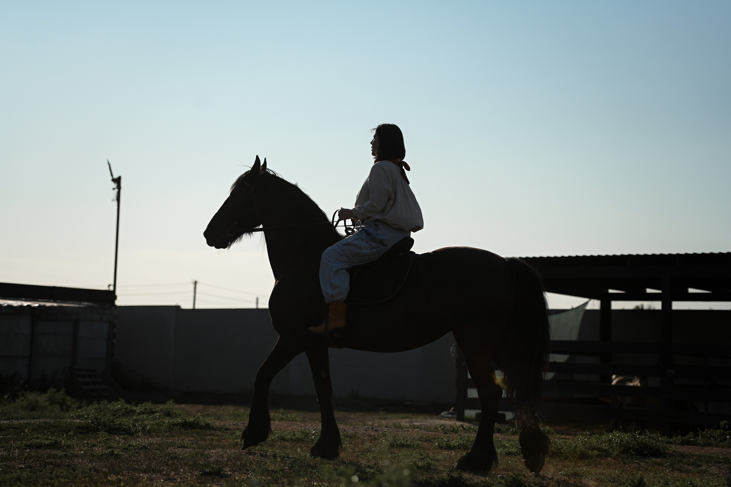 Натали и Линда. Фотограф Натали Кошевая _ Днепр, Подгородное