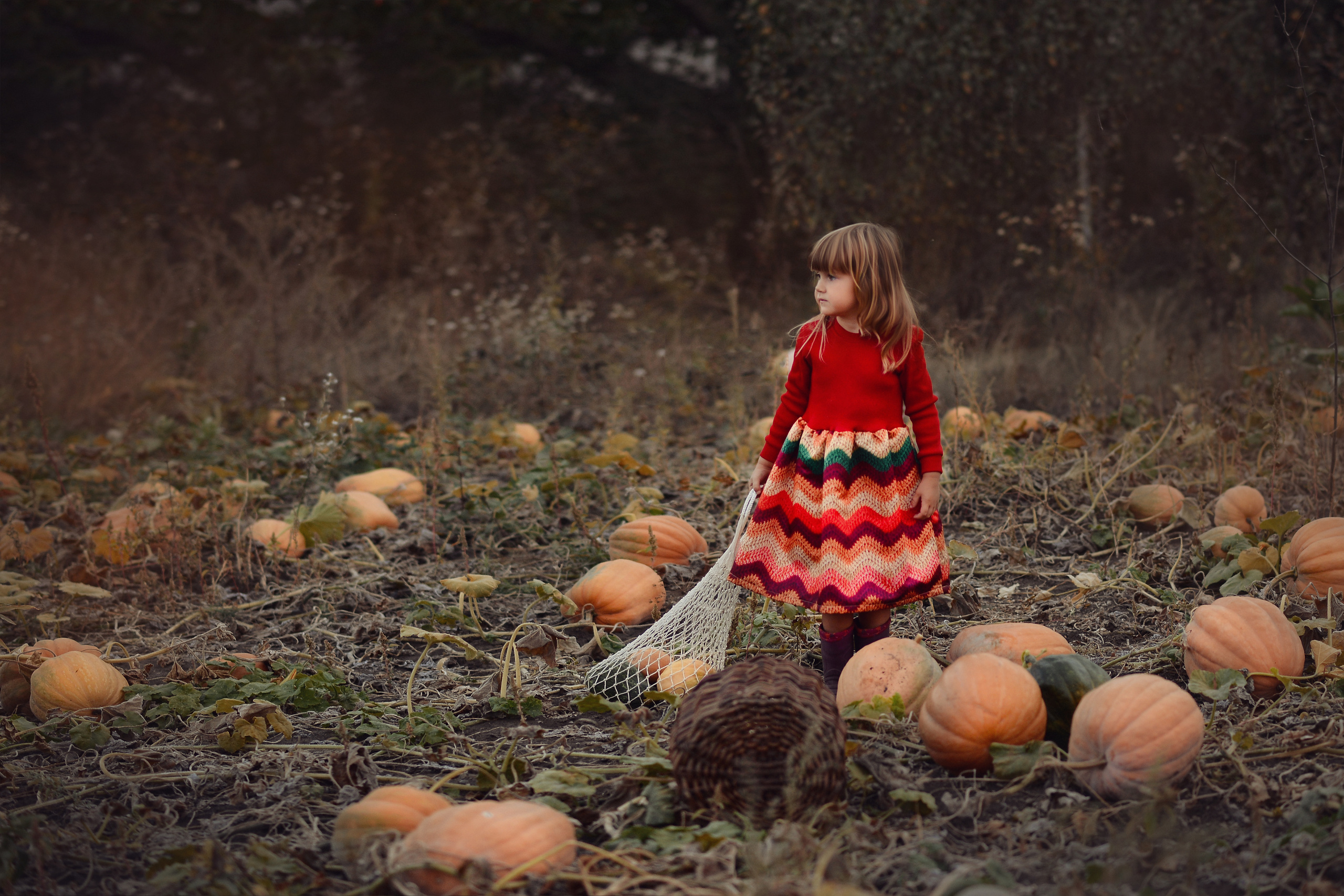 Образы в наличии для съёмок. Фотограф Натали Кошевая _ Днепр, Подгородное