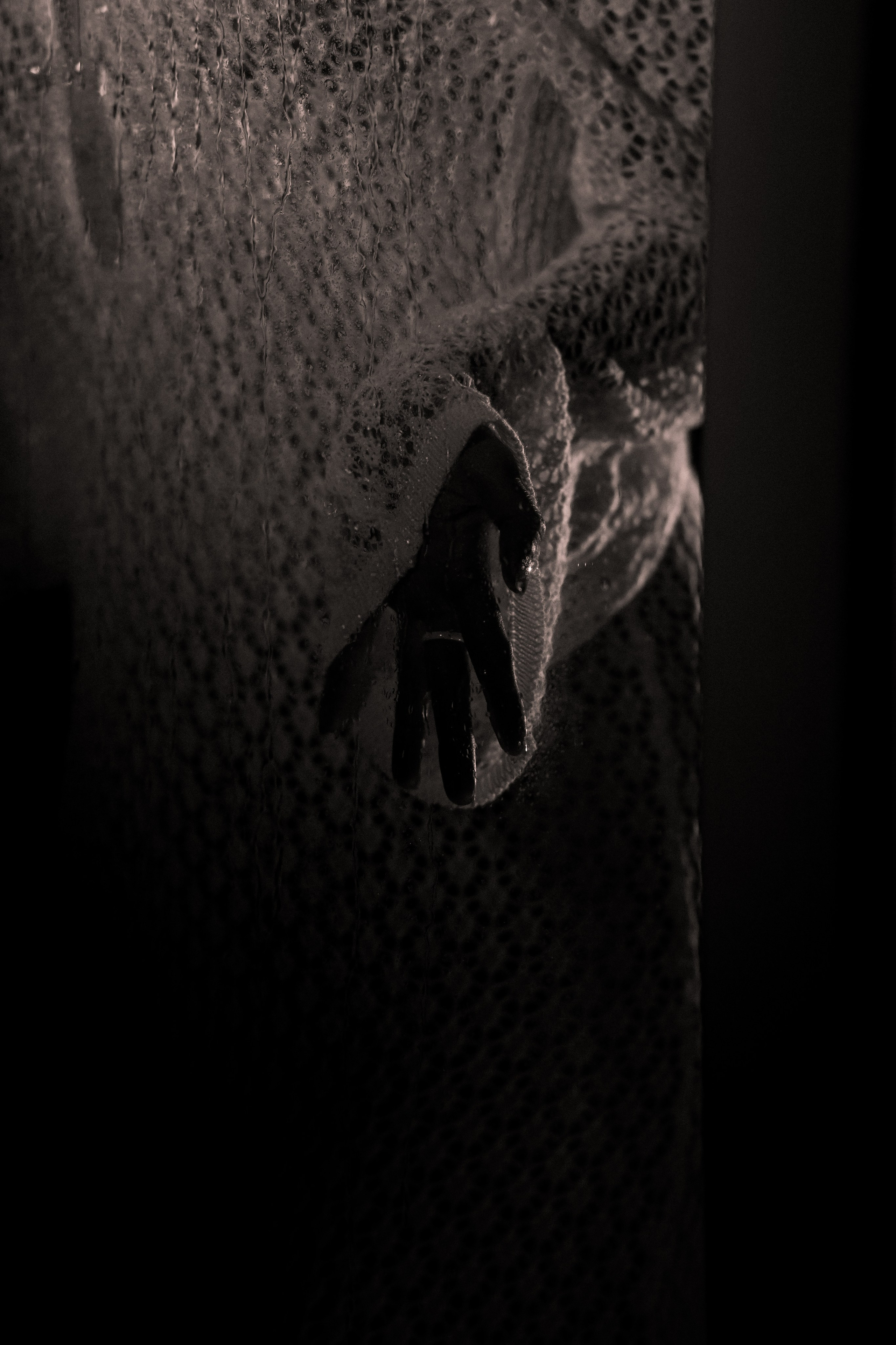 За стеклом. Фотограф Натали Кошевая _ Днепр, Подгородное