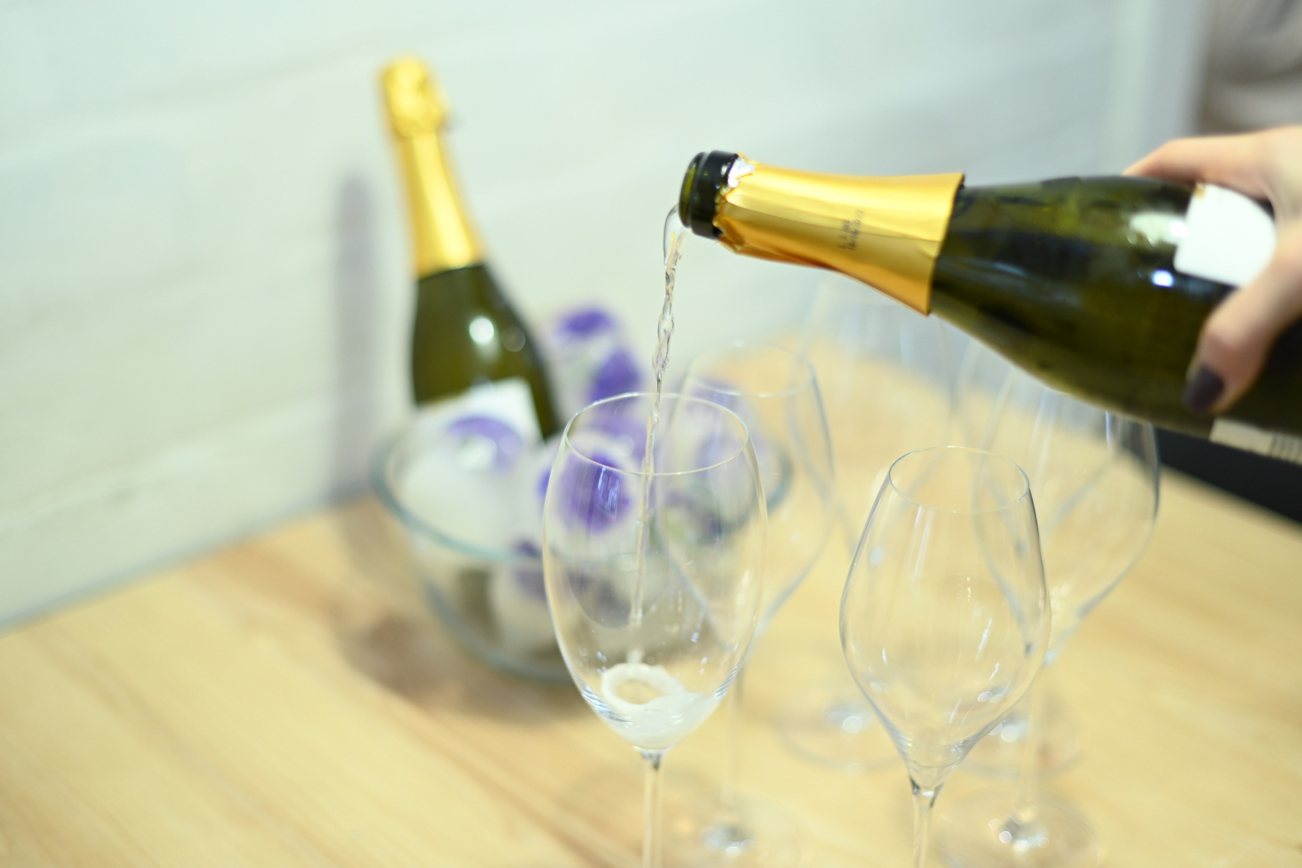 Девичник_Юбилей. Фотограф Натали Кошевая _ Днепр, Подгородное