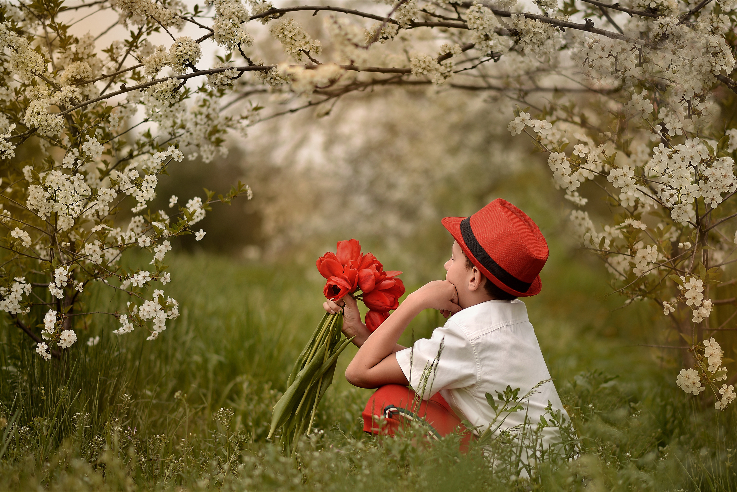 Тюльпанная история. Фотограф Натали Кошевая _ Днепр, Подгородное
