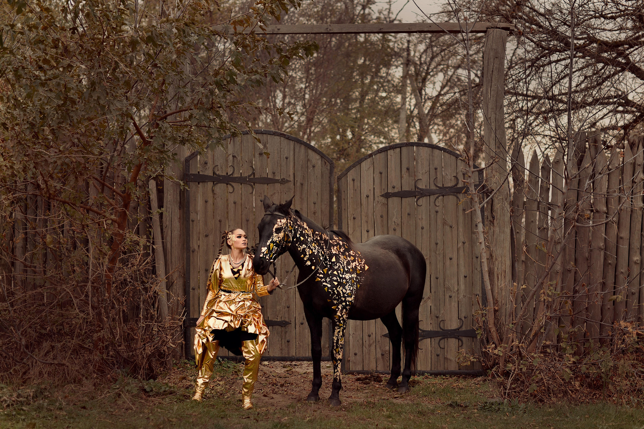 Идейная съёмка_Золотая фотосессия. Фотограф Натали Кошевая _ Днепр, Подгородное