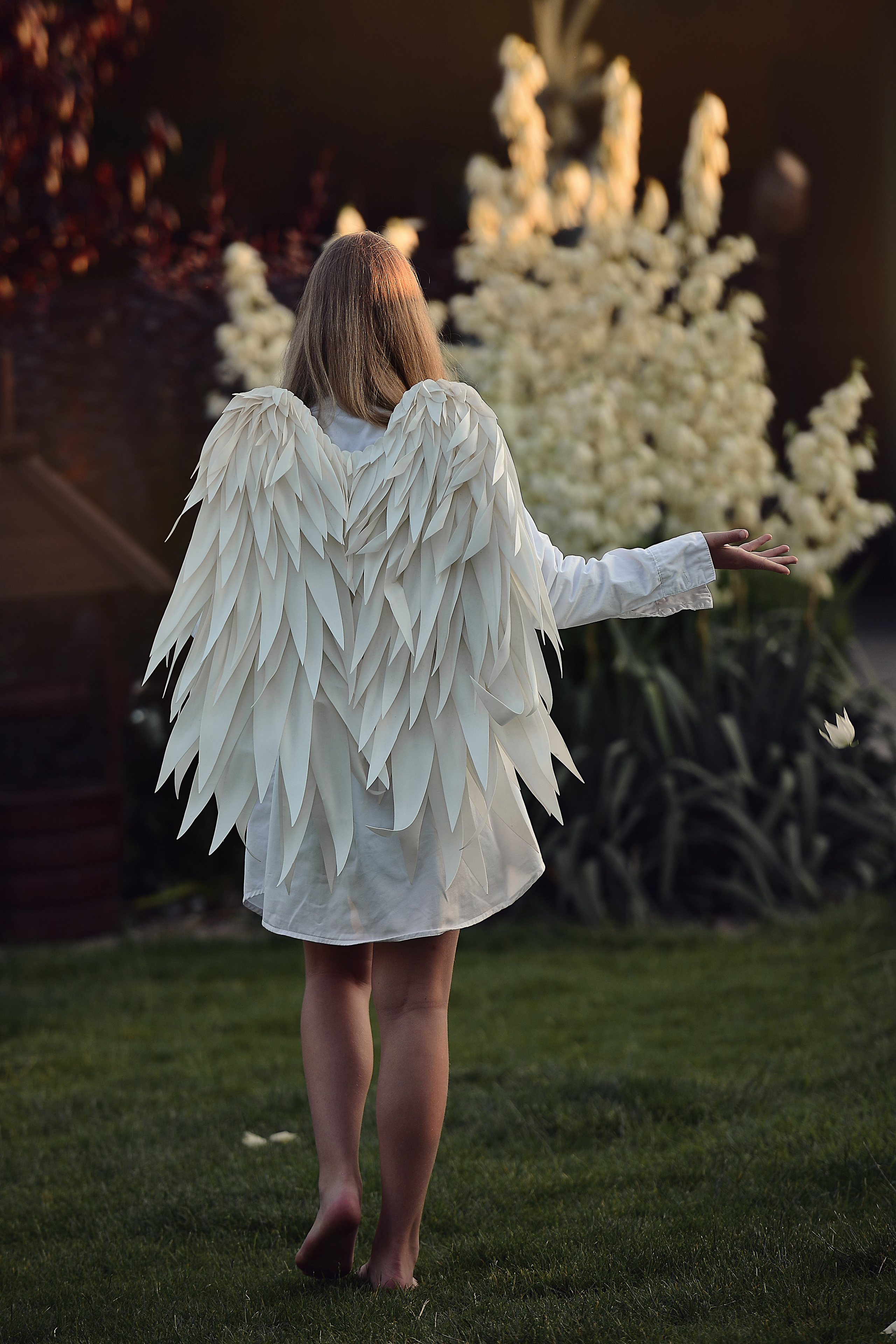 Ангел Полинка. Фотограф Натали Кошевая _ Днепр, Подгородное