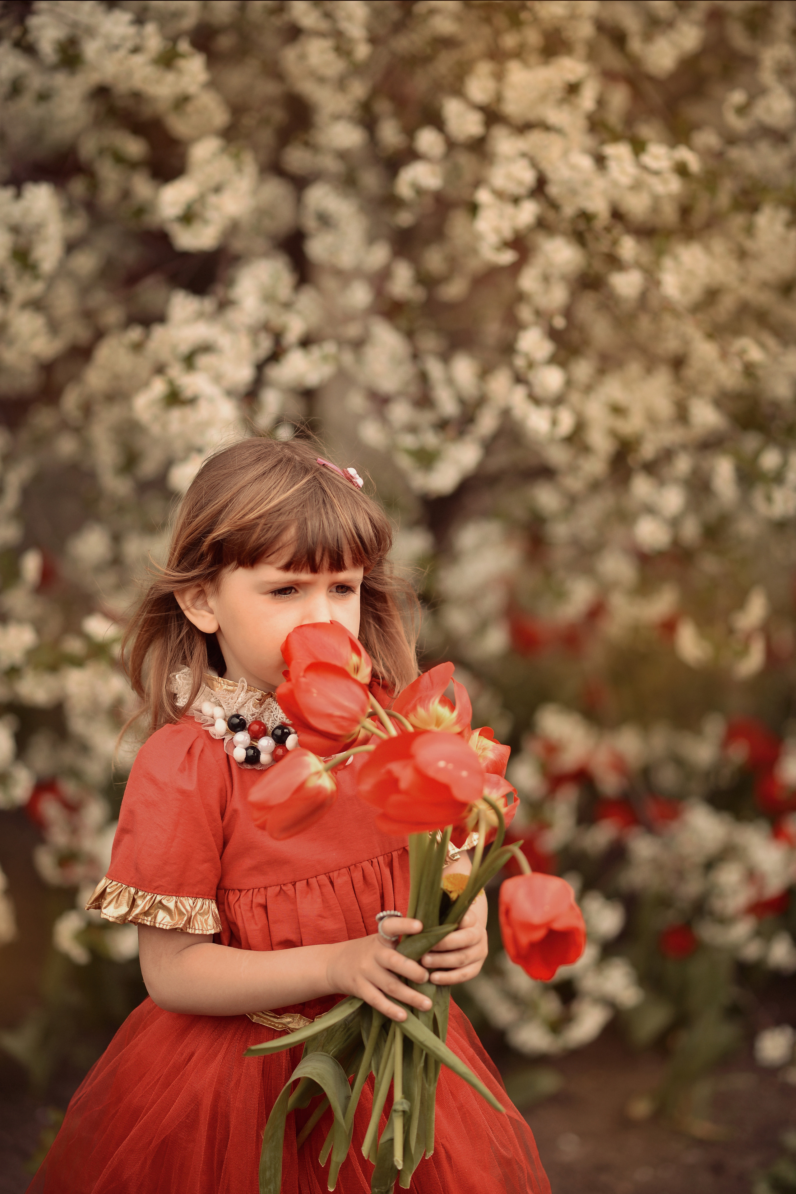 Тюльпанное настроение. Фотограф Натали Кошевая _ Днепр, Подгородное