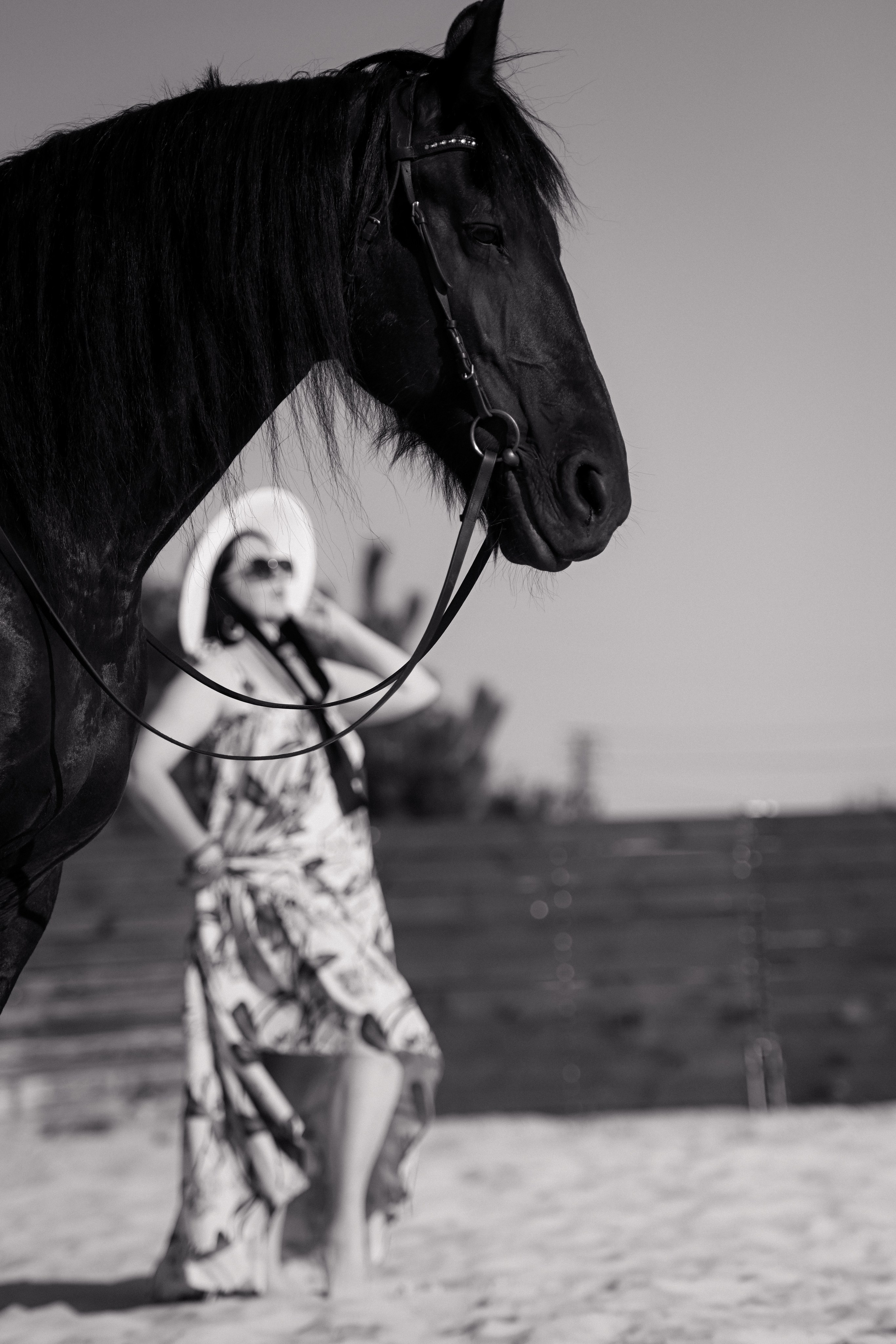 В Конюшне. Фотограф Натали Кошевая _ Днепр, Подгородное