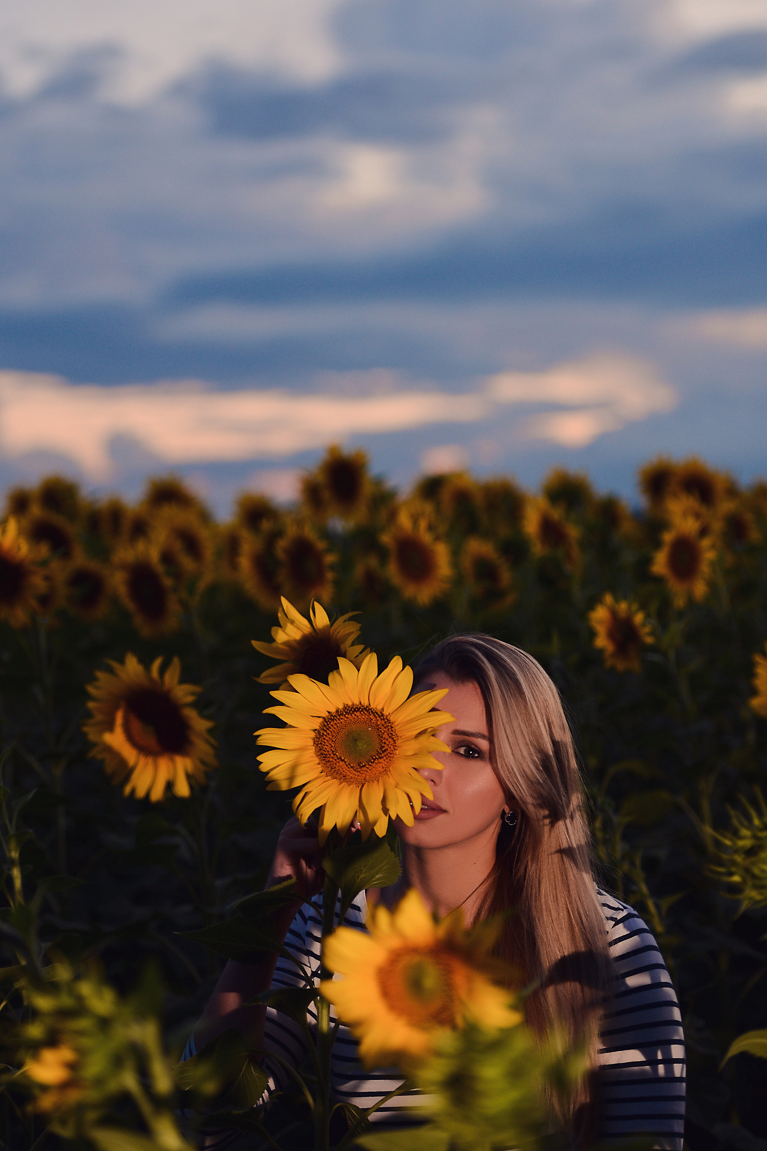 Фотосессия в подсолнухах. Фотограф Натали Кошевая _ Днепр, Подгородное