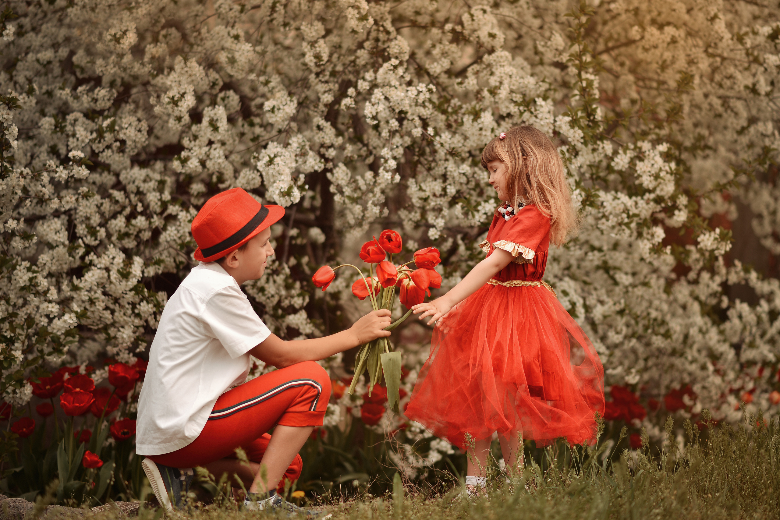 Тюльпанное настроение. Фотограф Натали Кошевая _ Днепр, Подгородное