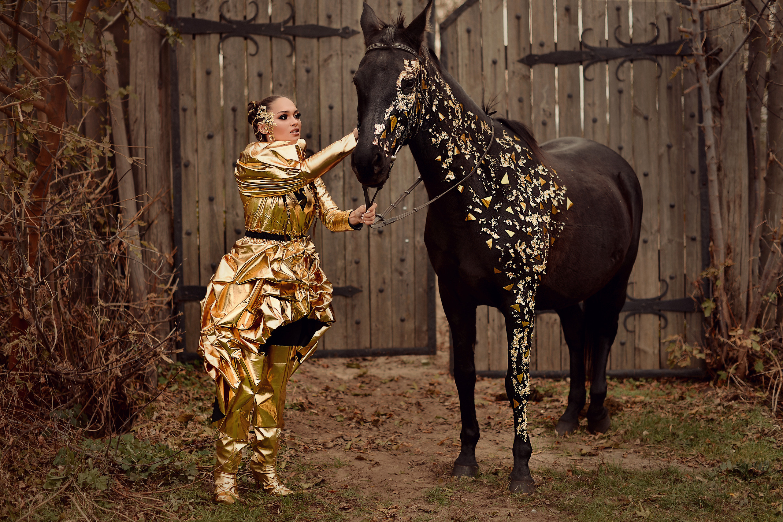 Идейная съёмка_Золотая фотосессия. Фотограф Натали Кошевая _ Днепр, Подгородное