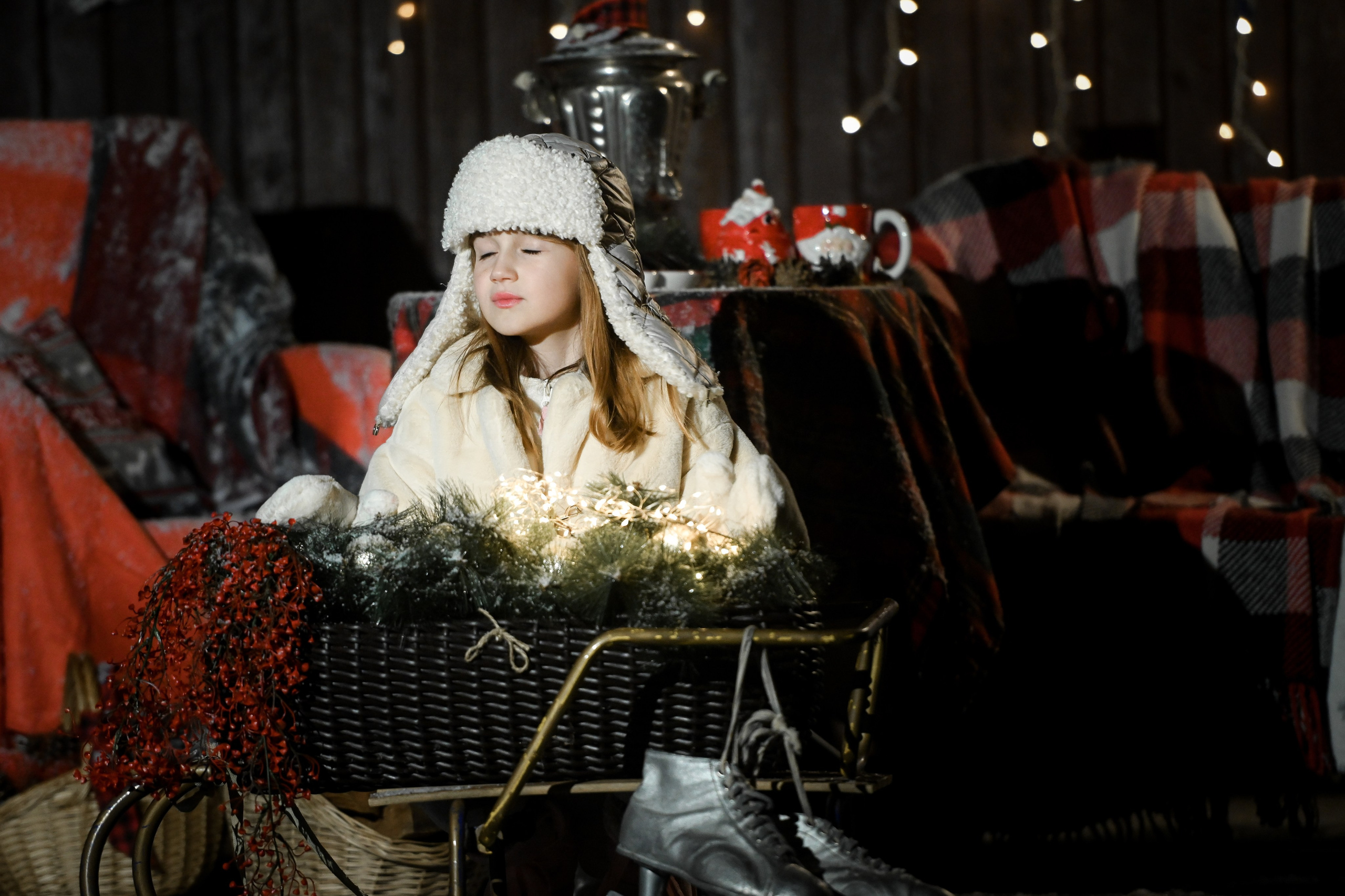 Первый снег. Фотограф Натали Кошевая _ Днепр, Подгородное