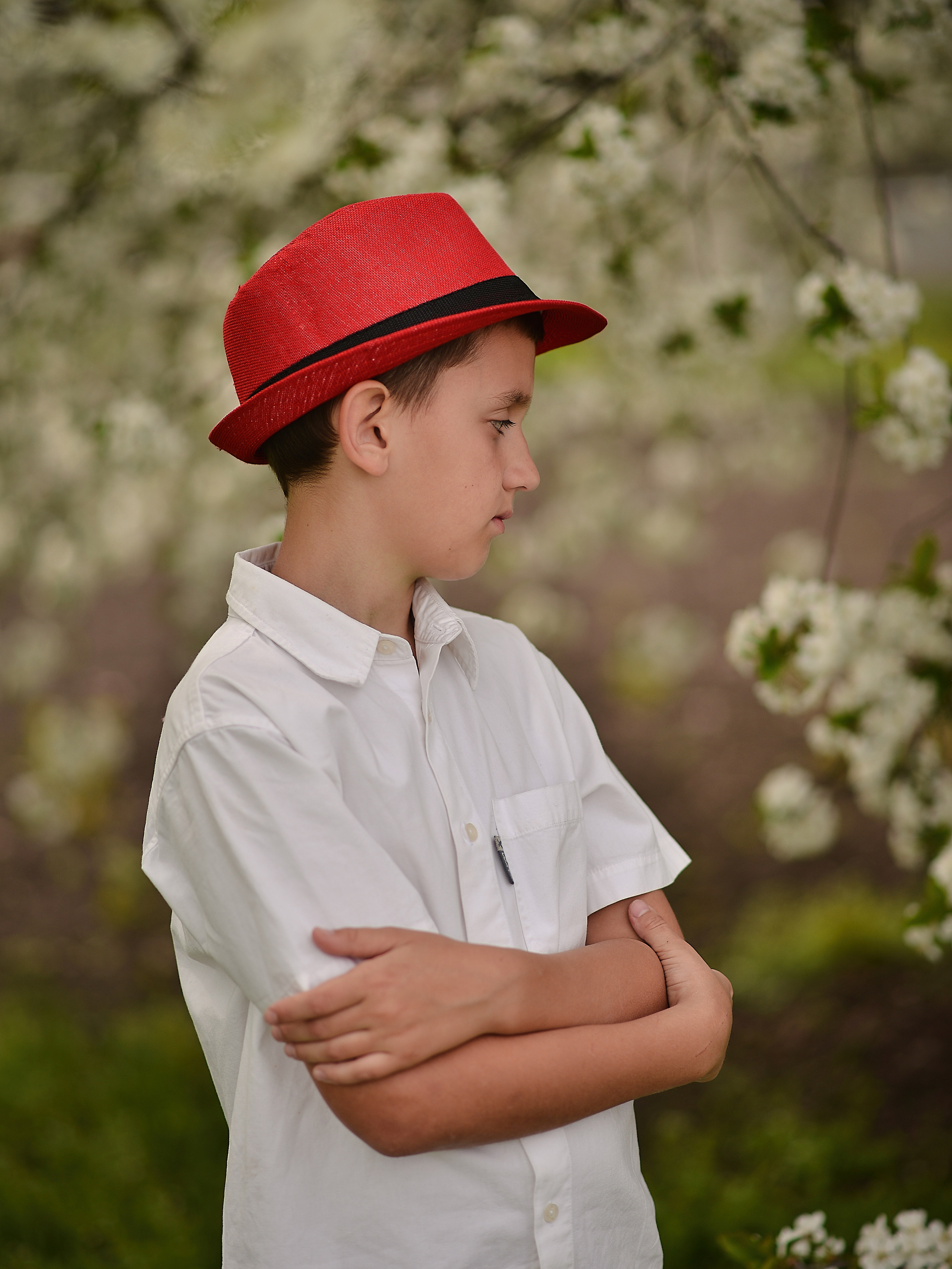 Тюльпанная история. Фотограф Натали Кошевая _ Днепр, Подгородное