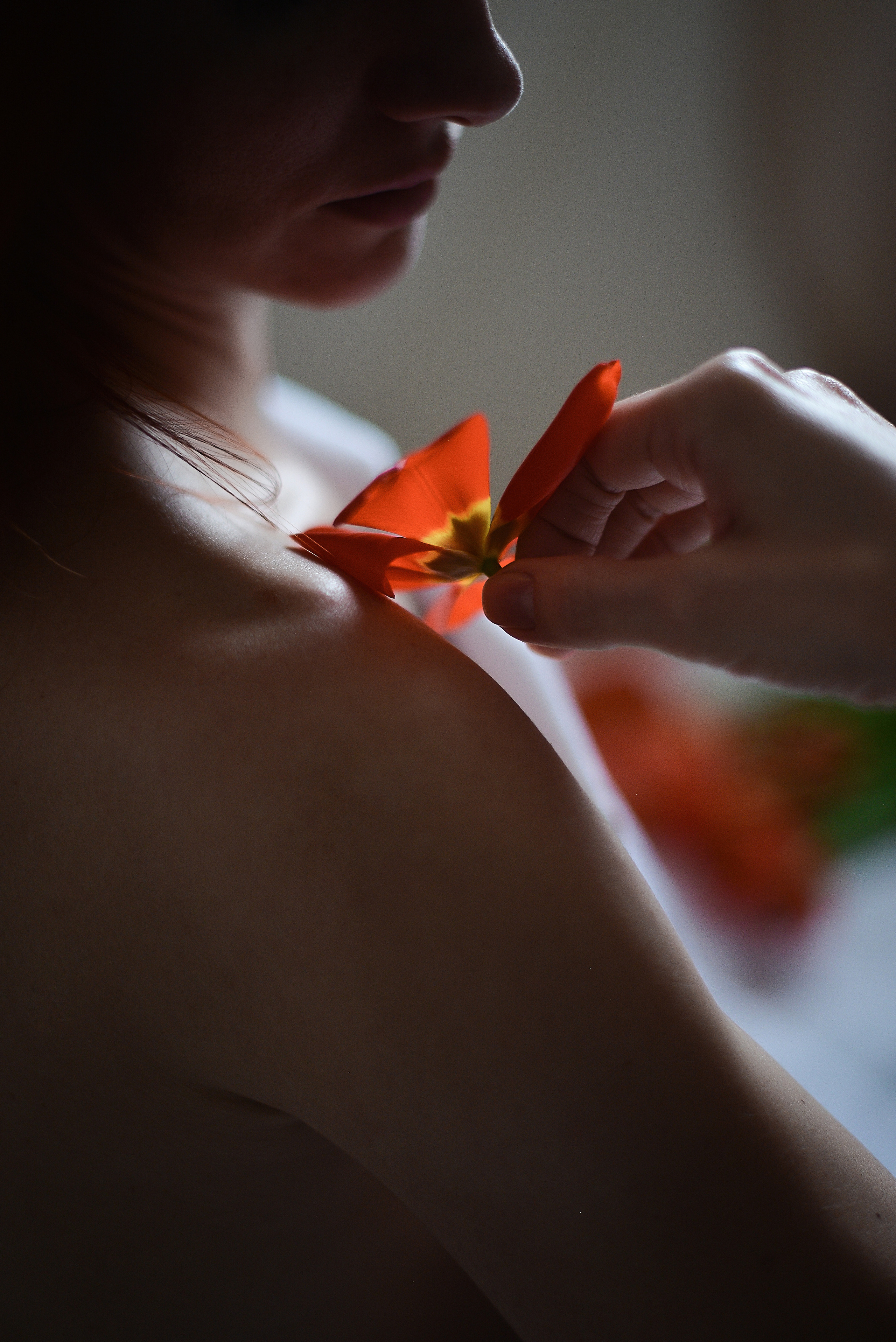 Тюльпанный рай. Фотограф Натали Кошевая _ Днепр, Подгородное