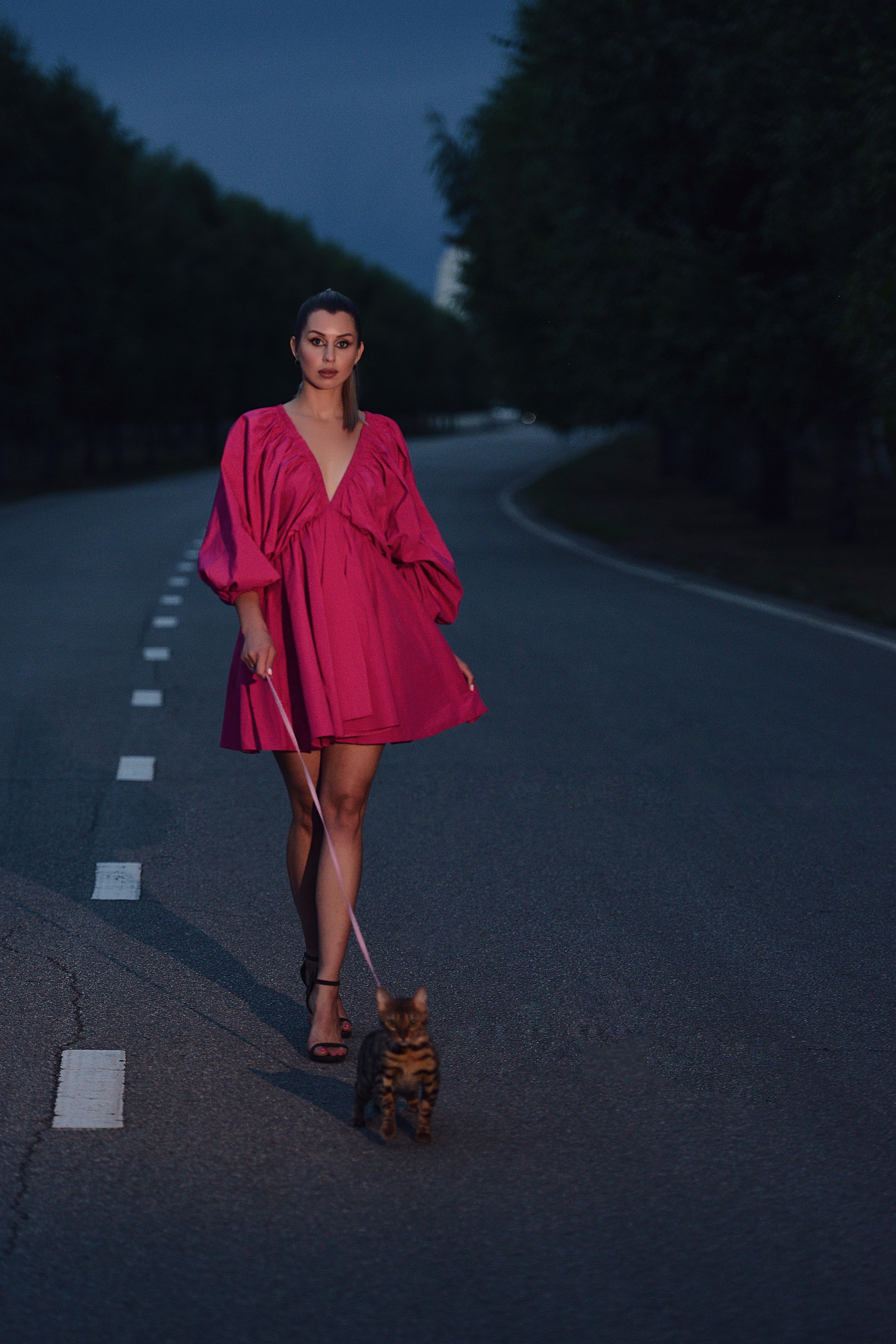 Две кошки. Фотограф Натали Кошевая _ Днепр, Подгородное